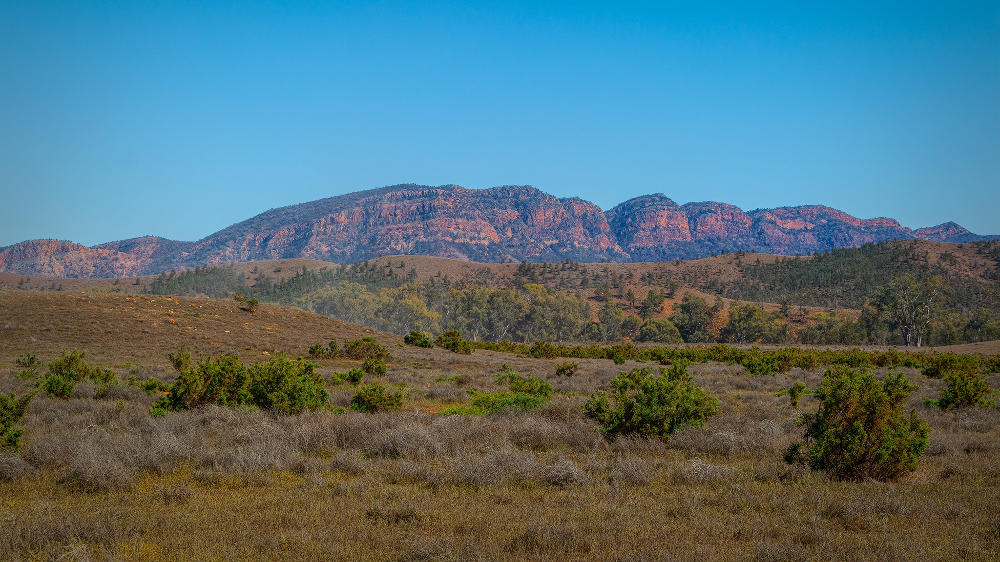 Flinders Ranges - Natures Outback Paradise | Having completed a ride of ...