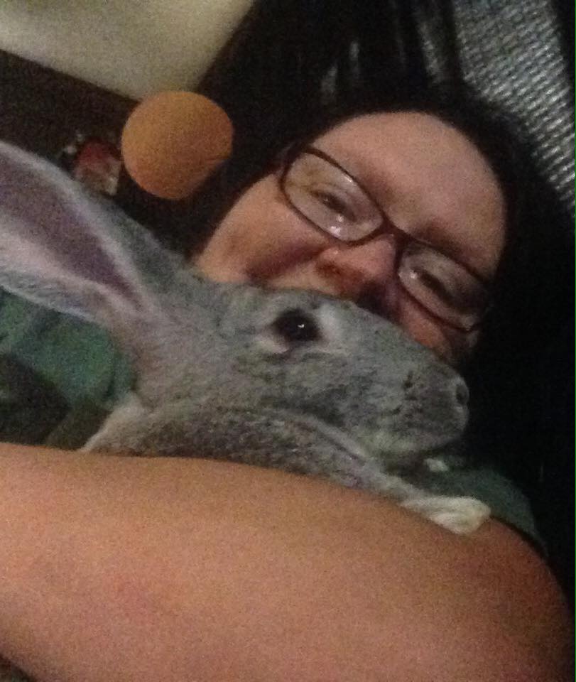 Millicent the Magnificent Slobovian Bunny