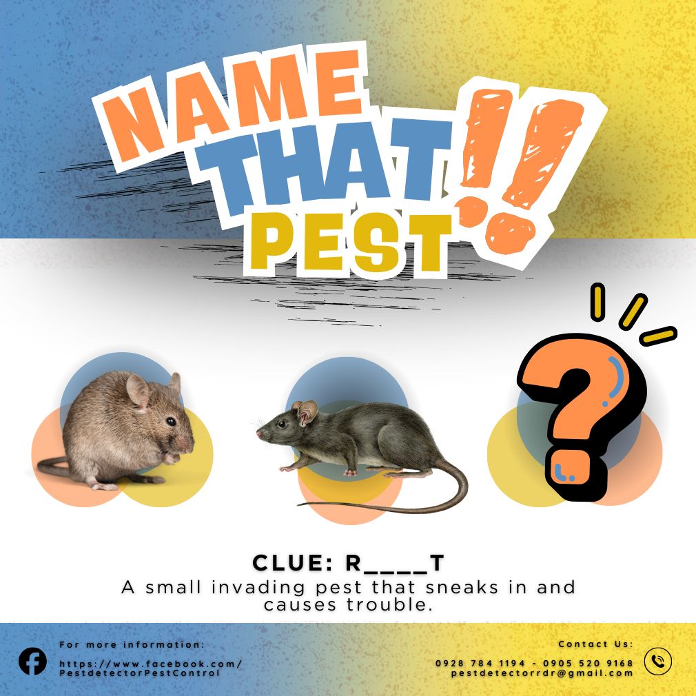Pestdetector - 🪲🔍 A Small Invading Pest That Sneaks In and Causes ...