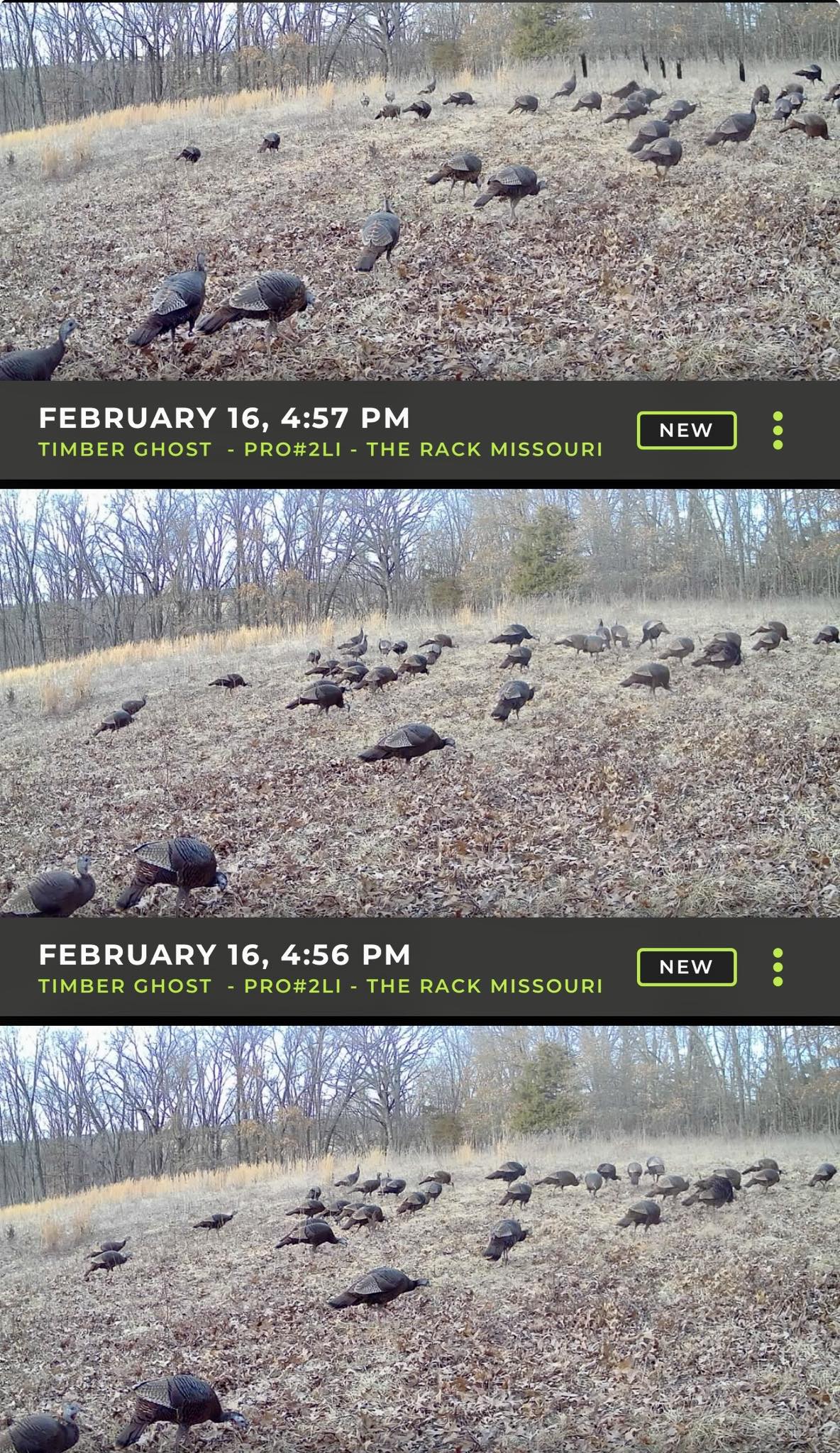 If this ain’t the best Eastern... - The Rack - Missouri, LLC. | Facebook