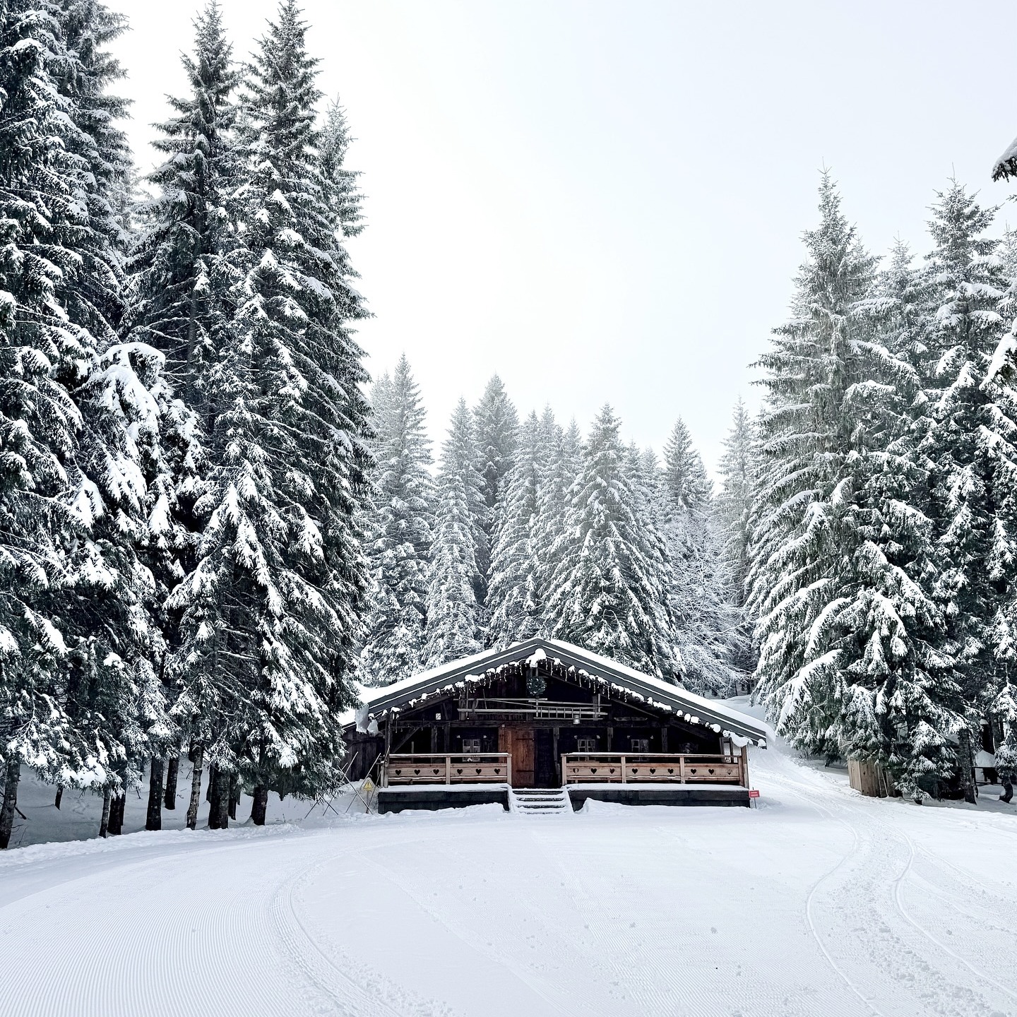 Chalet - C’est avec plaisir que nous vous annonçons que grâce à vous ...