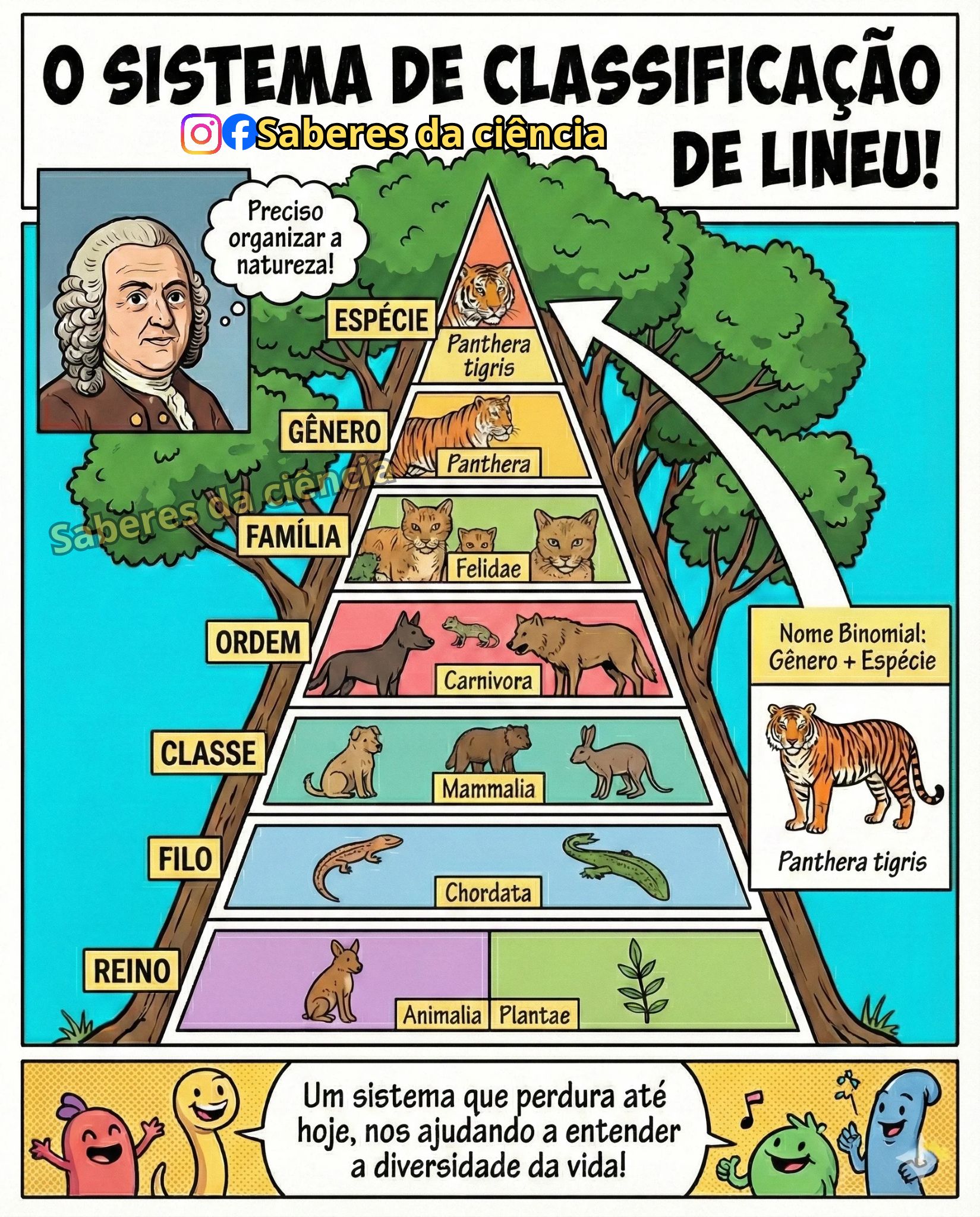 Dominio Reino Filo Classe Ordem Familia Genero Especie Qual Eo Nivel