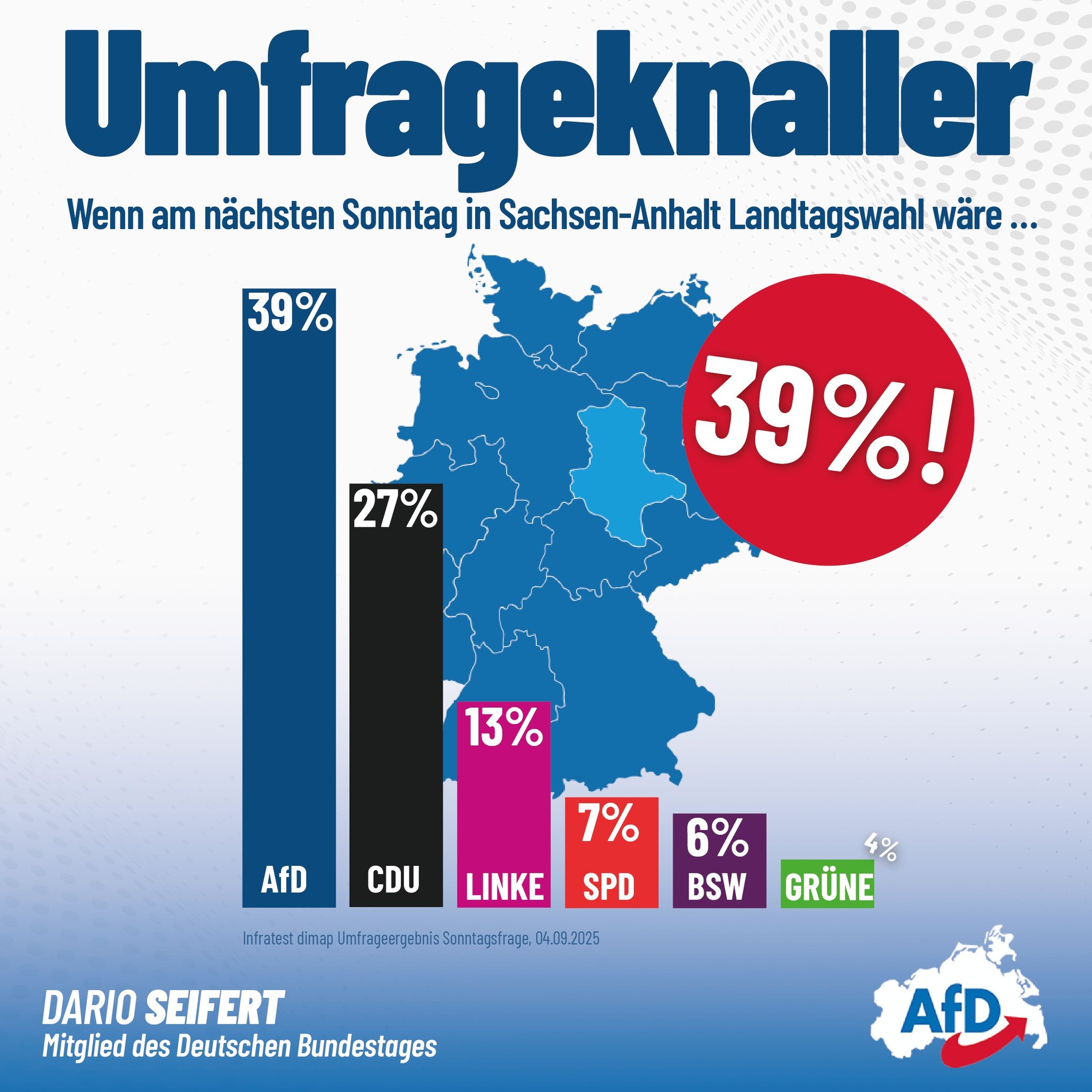 Thore Stein - AfD