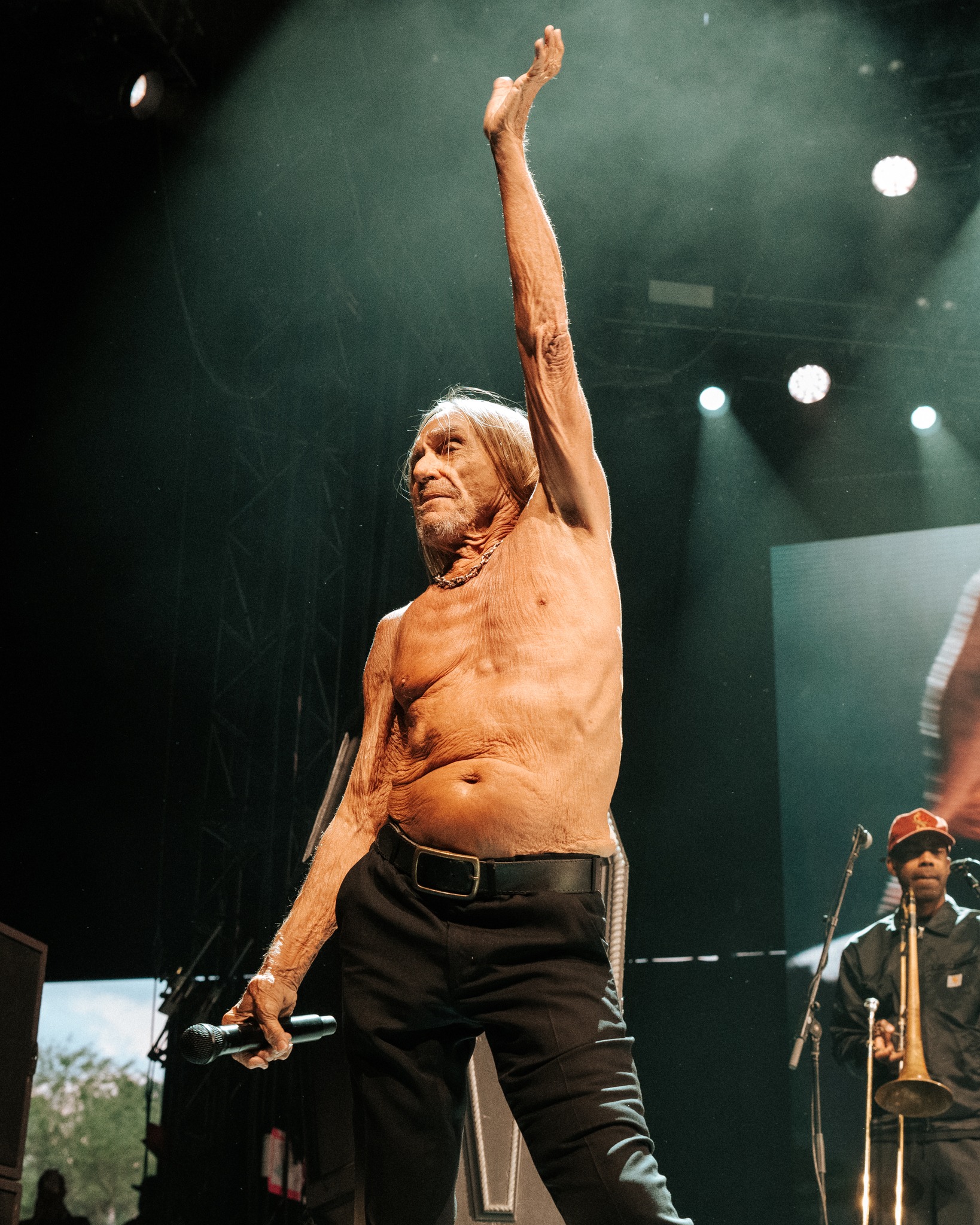 The King of Punk Iggy Pop