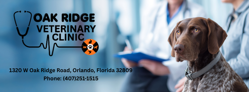 Oak Ridge Veterinary Clinic | Orlando FL