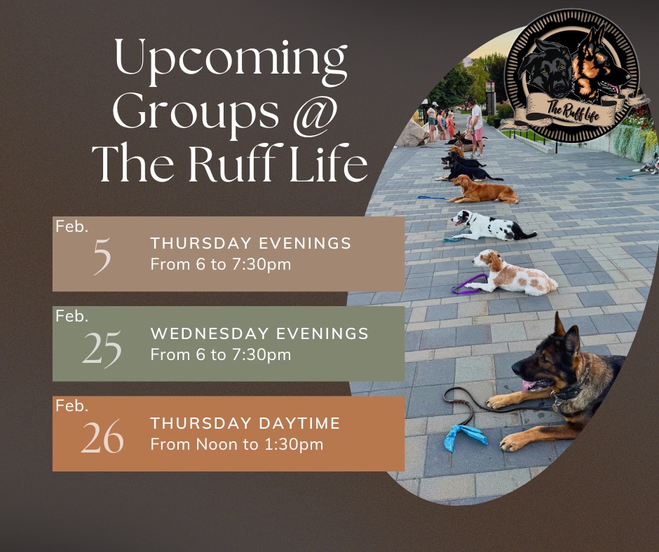 The Ruff Life... - The Ruff Life Professional Dog Training