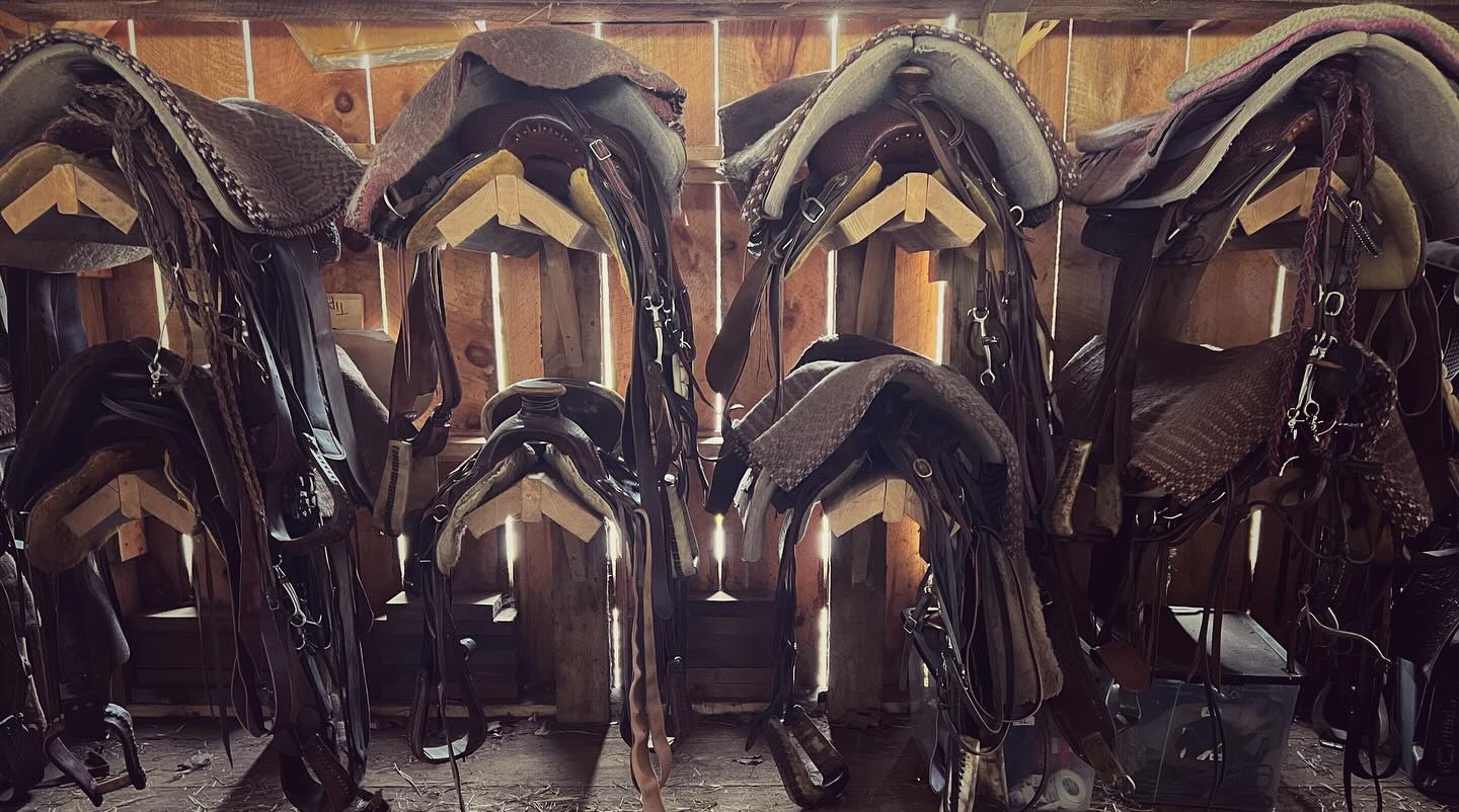 Mountain View Rocking B Ranch | Lake Luzerne NY