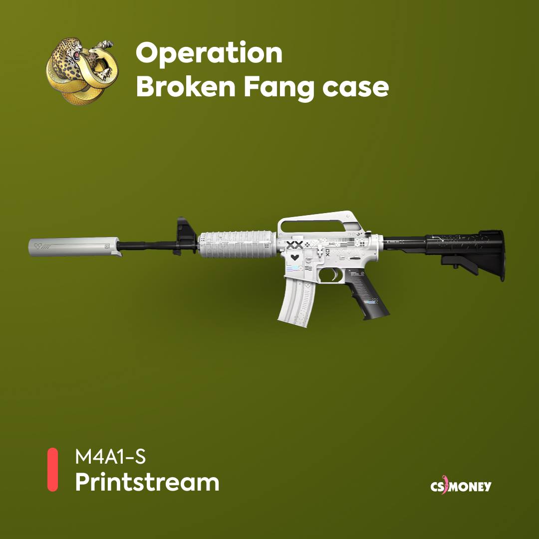 Which skin from the New Case... - Cs.money CS:GO Trading Bot | Facebook