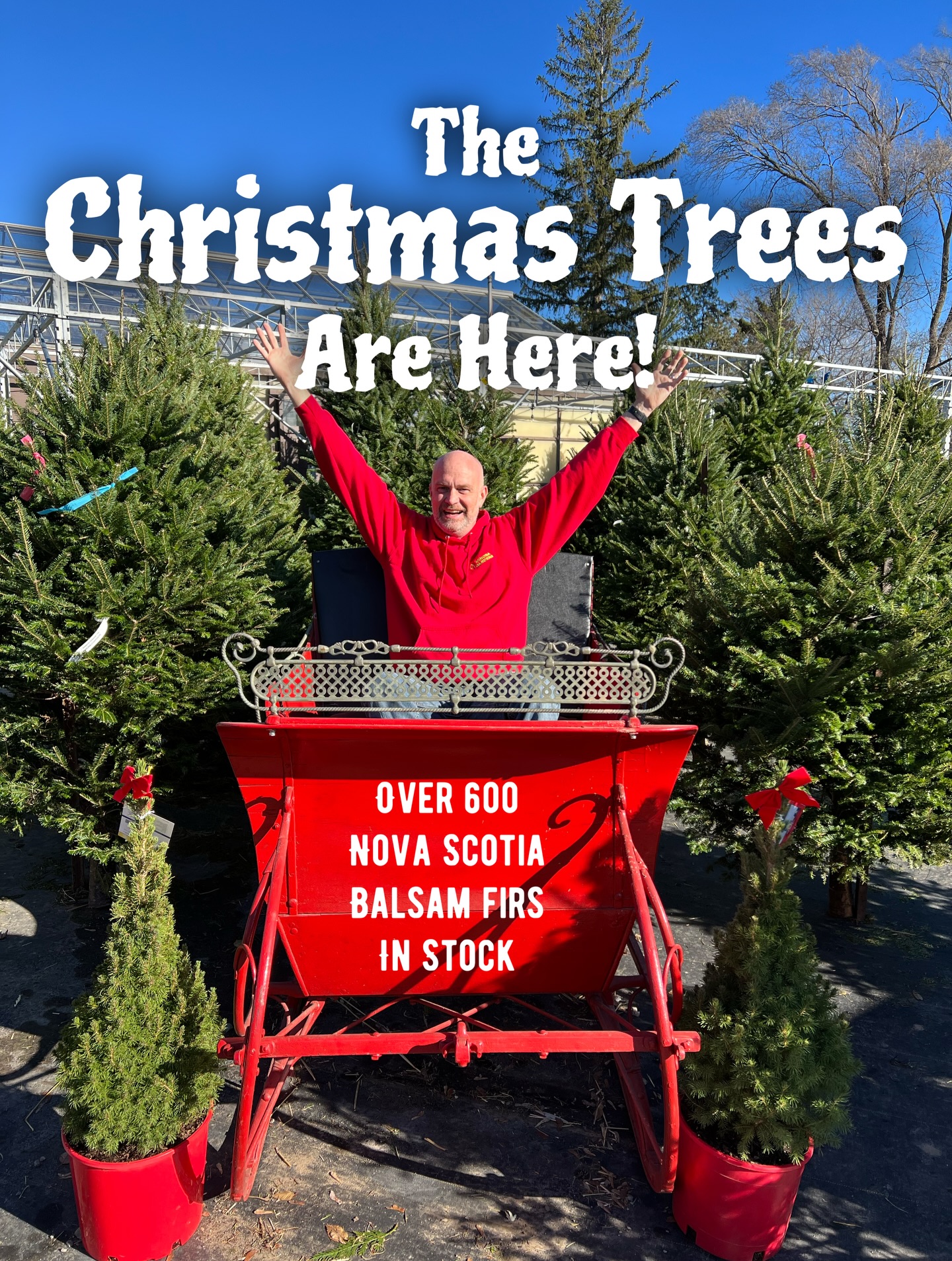 Winona - Christmas Trees are here - and we couldn’t be more excited ...