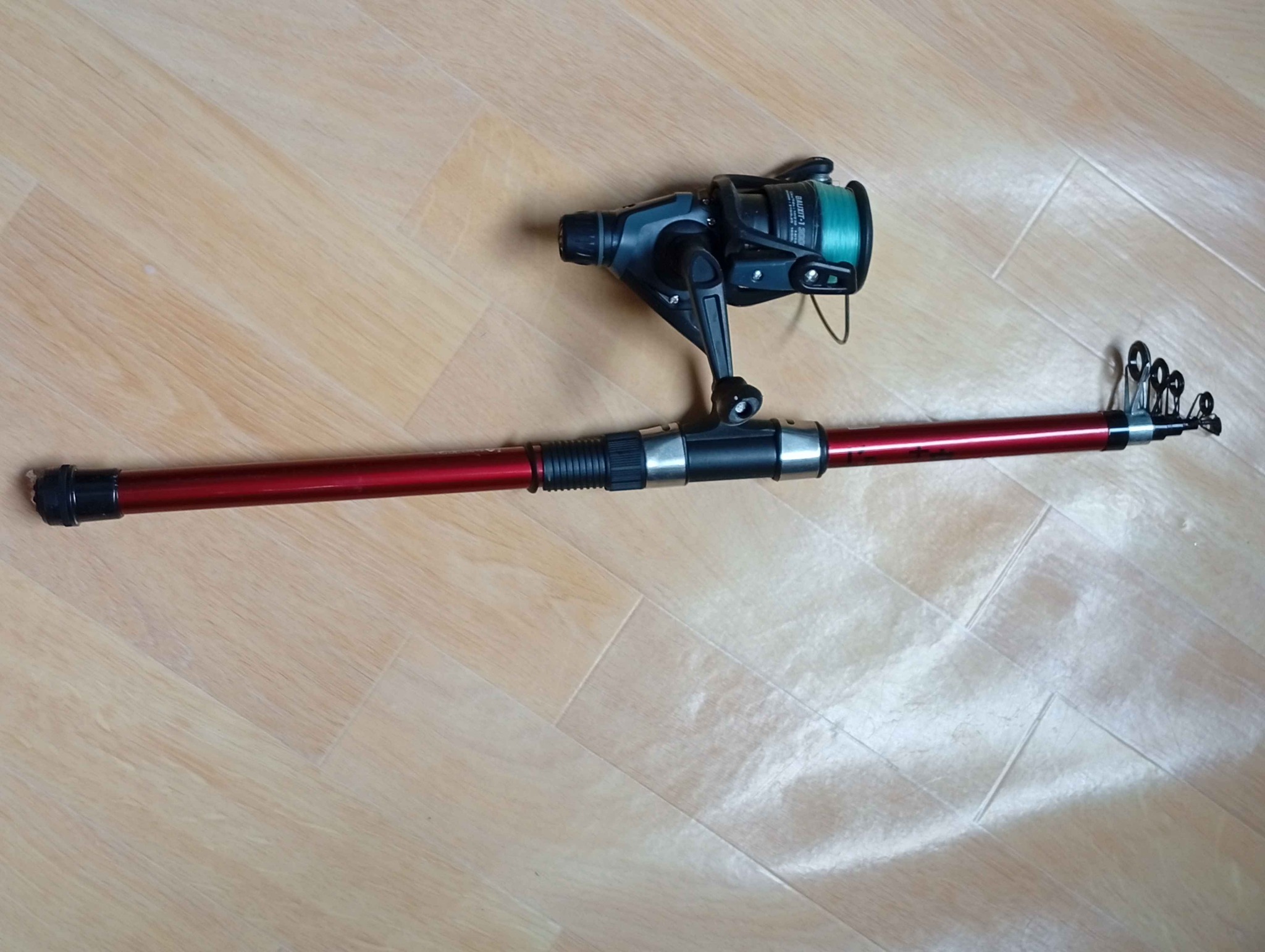 ensemble canne à pêche télescopique en moulinet