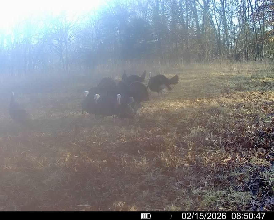 If this ain’t the best Eastern... - The Rack - Missouri, LLC. | Facebook