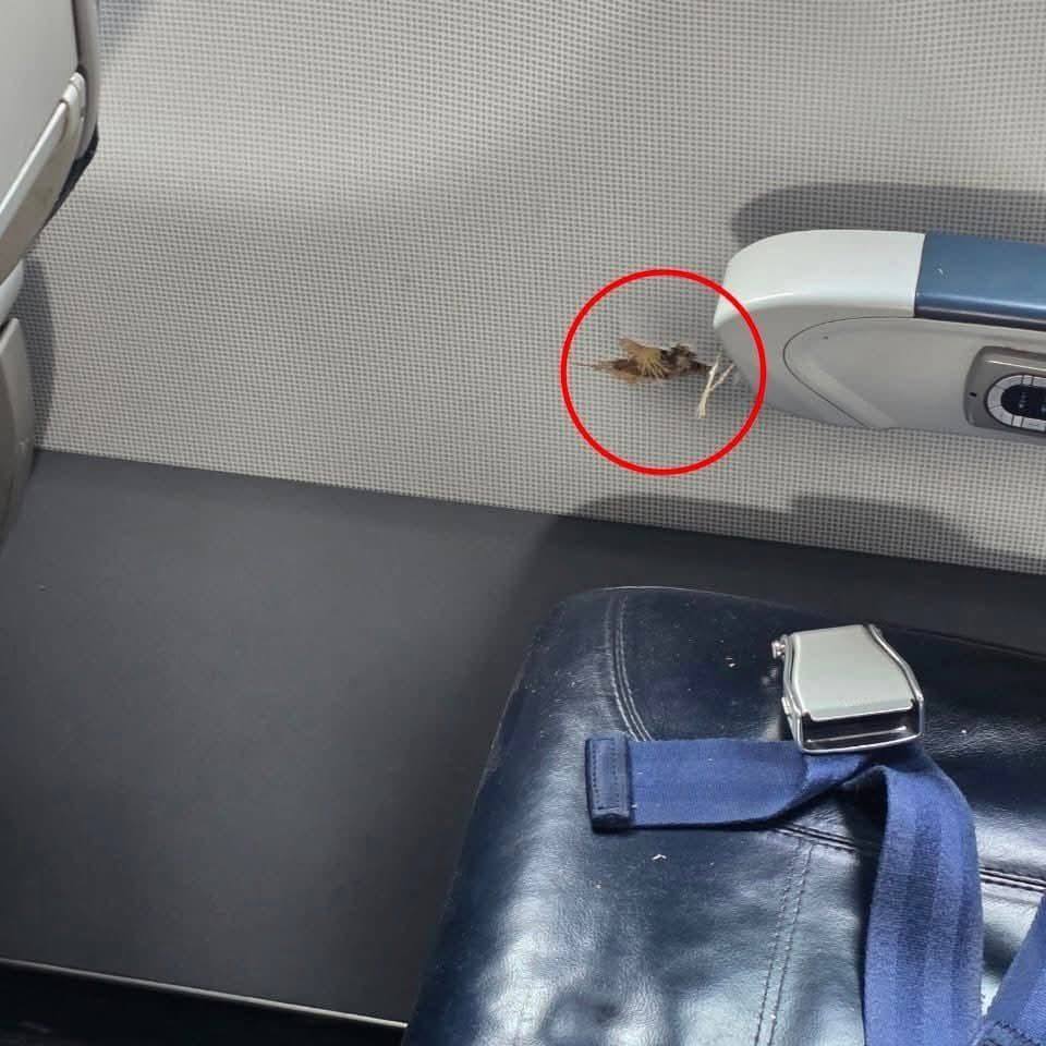 Aviation-knowledge - TRANSIENT BLEED VALVE The Transient Bleed Valve ...