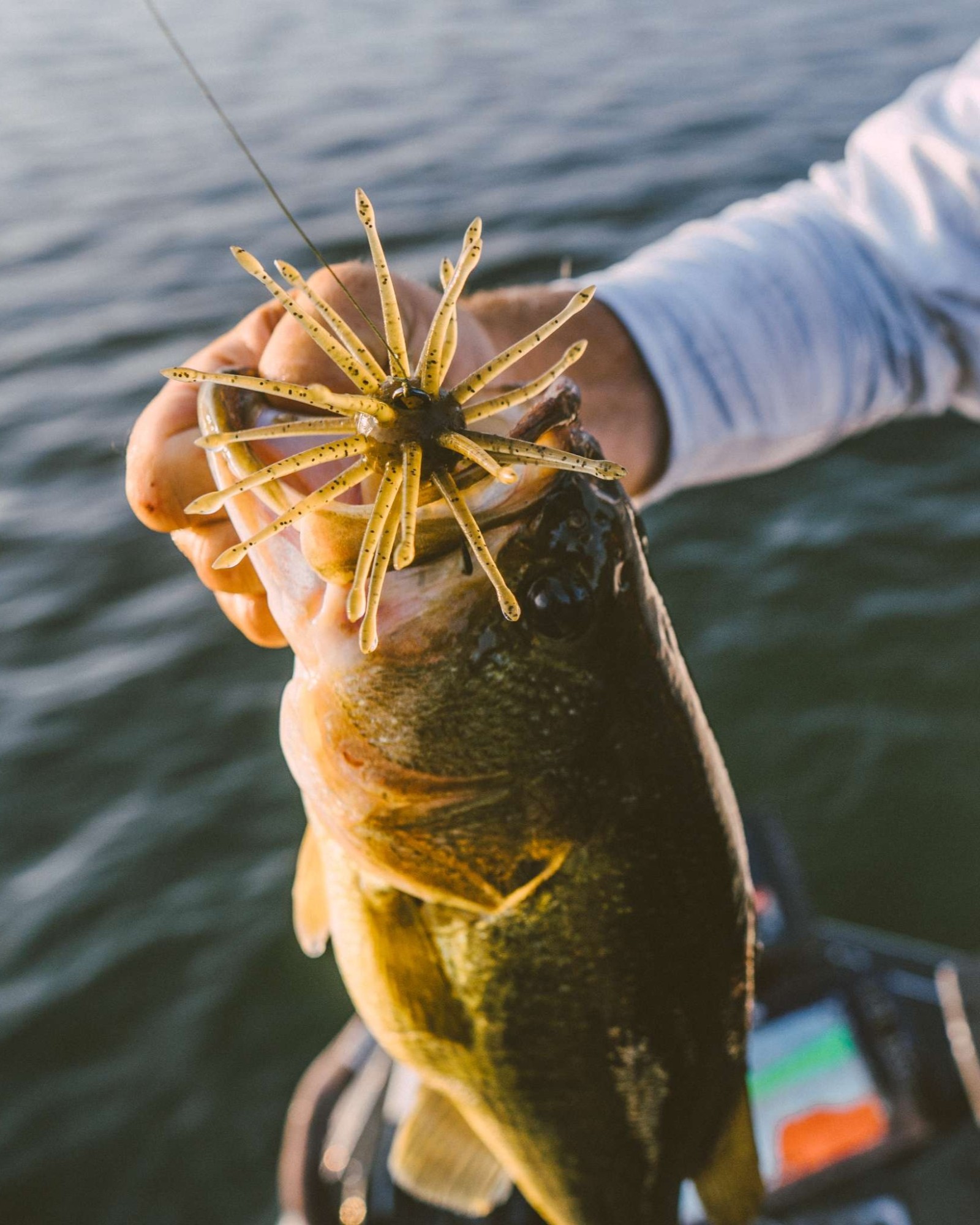 Yamamoto - Fish won't see you coming in our new Yamamoto Logo Camo