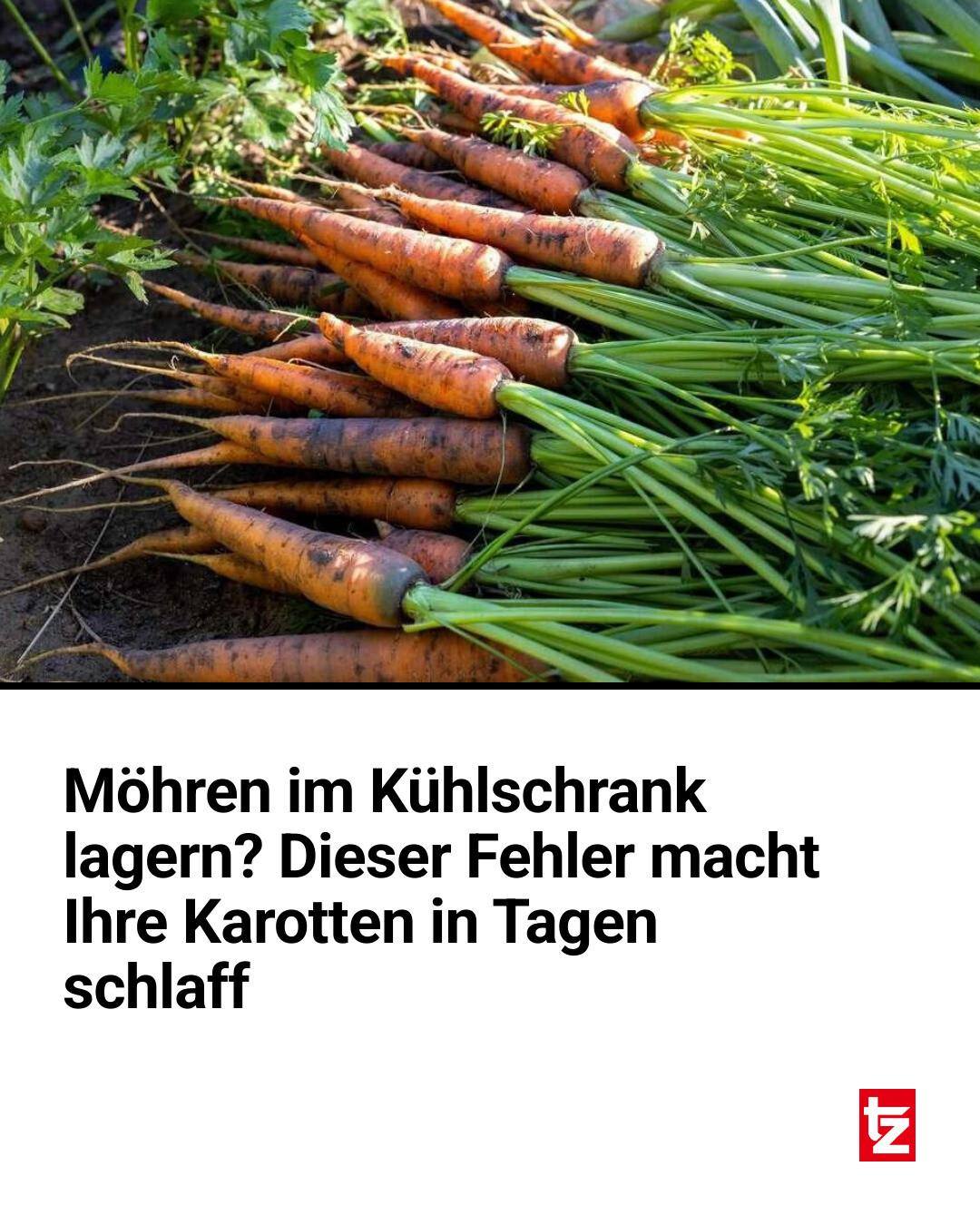 wie lange schulzeugnisse aufbewahren Zeugnismappe Jungen & Mädchen Waffenkoffer mit Fingerabdrucksensor & Wohnzimmer Deko Motiv:Geburtstag & Wunschname