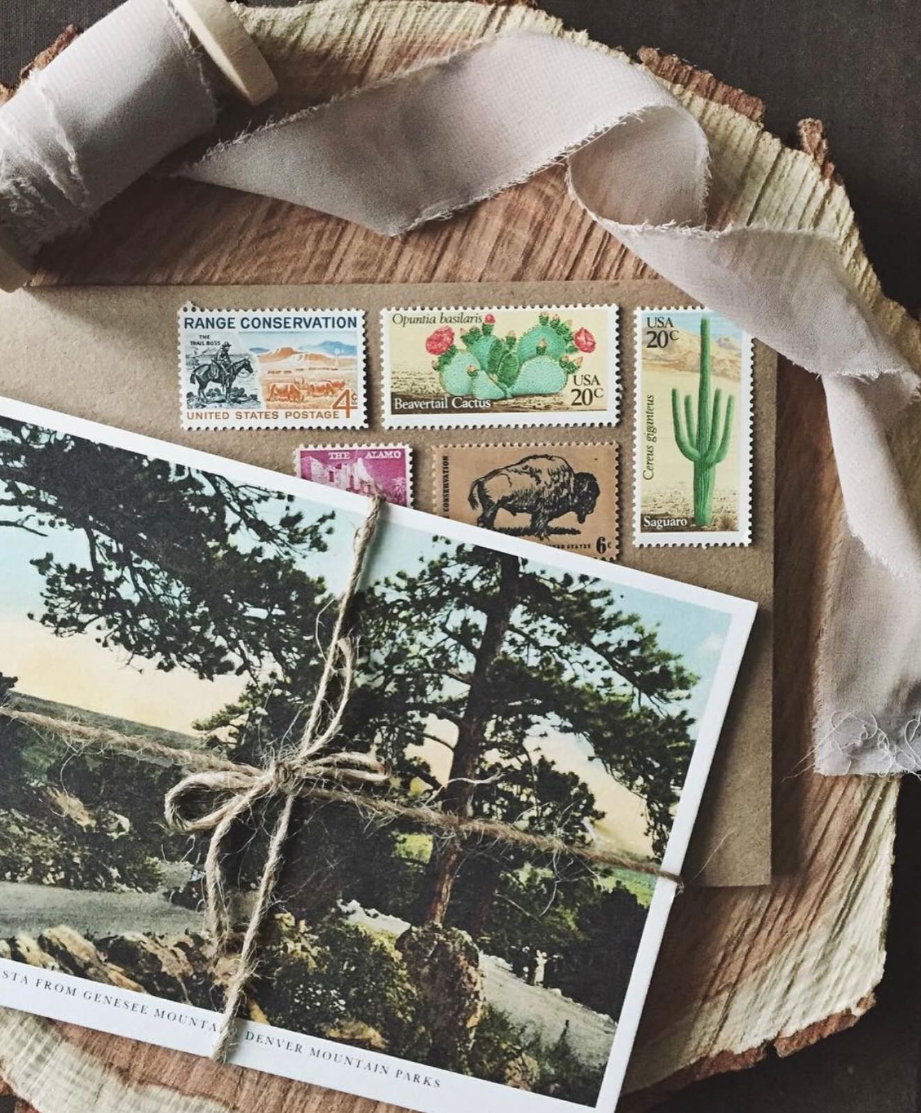 Wander Design Co.