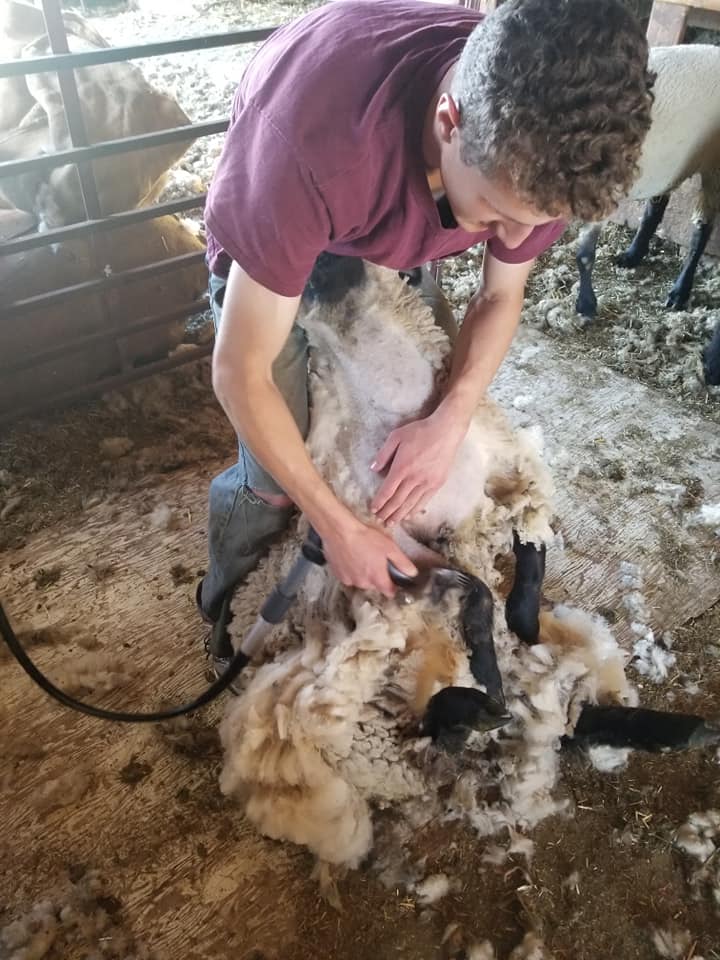 Touchdown Acres Farms | Radcliffe IA