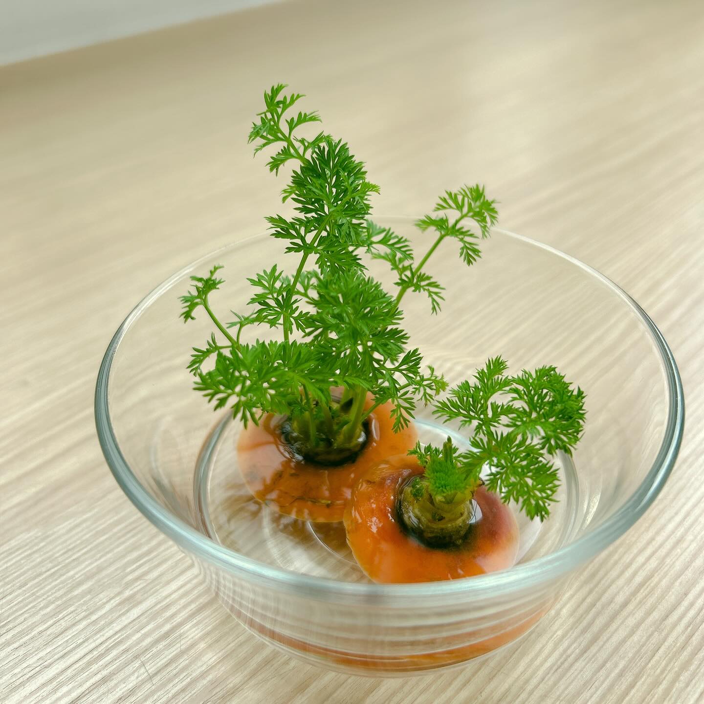 豆豆的花（まめのはな） | Fukuoka-shi Fukuoka