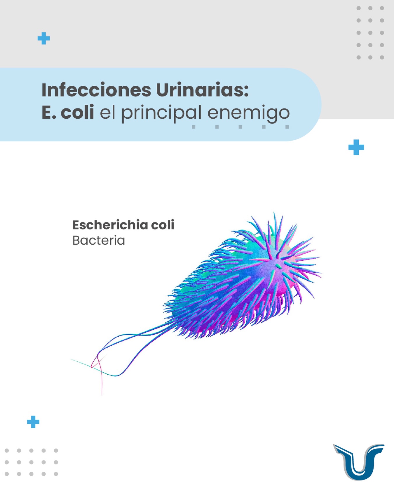 Urologia - ¿Sabías que el 90% de las infecciones urinarias (ITU) son ...