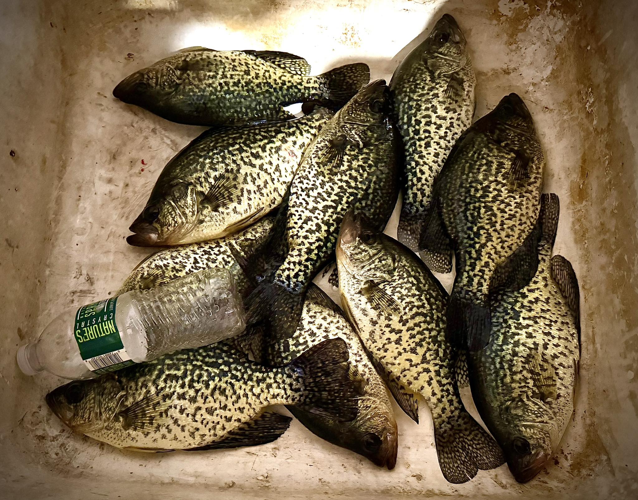 buck mr crappie fish hook pick Smith's Mr. and Sharpener Crappies retractable Fish Pick features a Diamond Hook File Shawn McLaughlin Crushing Crappie on