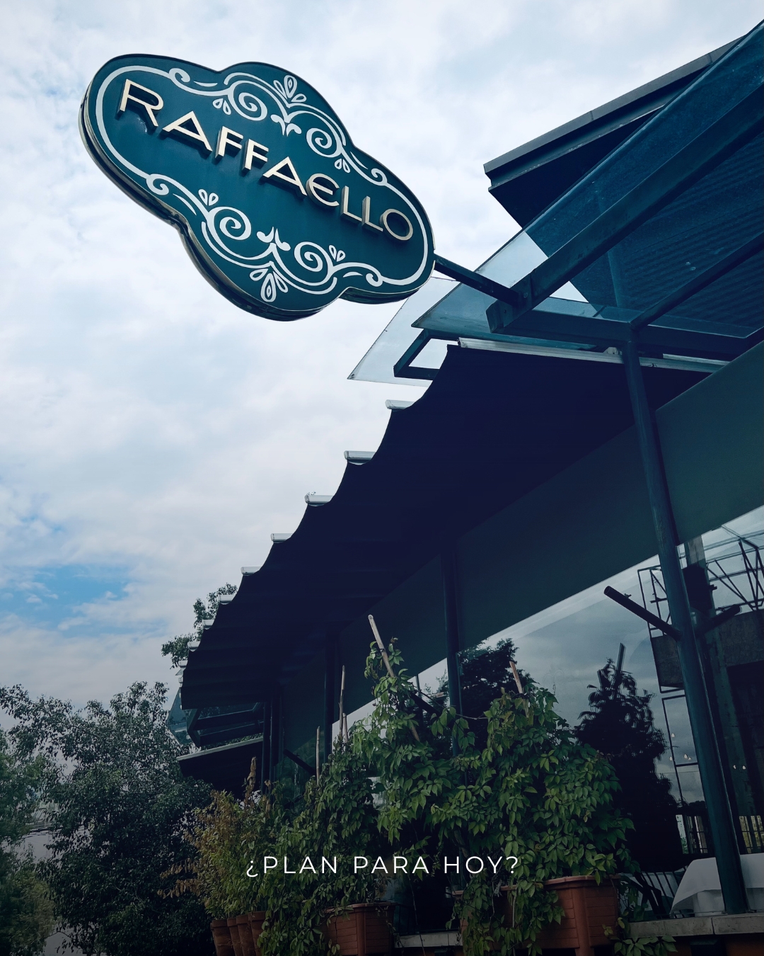 Raffaello Ristorante | Mexico City