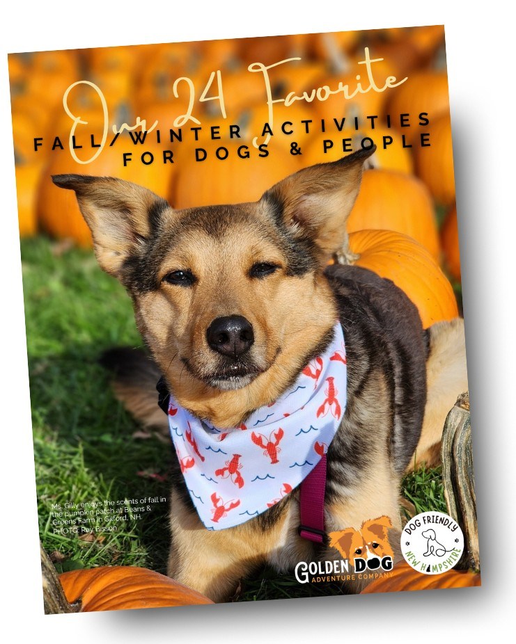 🐾 It’s here! Our updated Fall... - Golden Dog Adventure Co. | Facebook