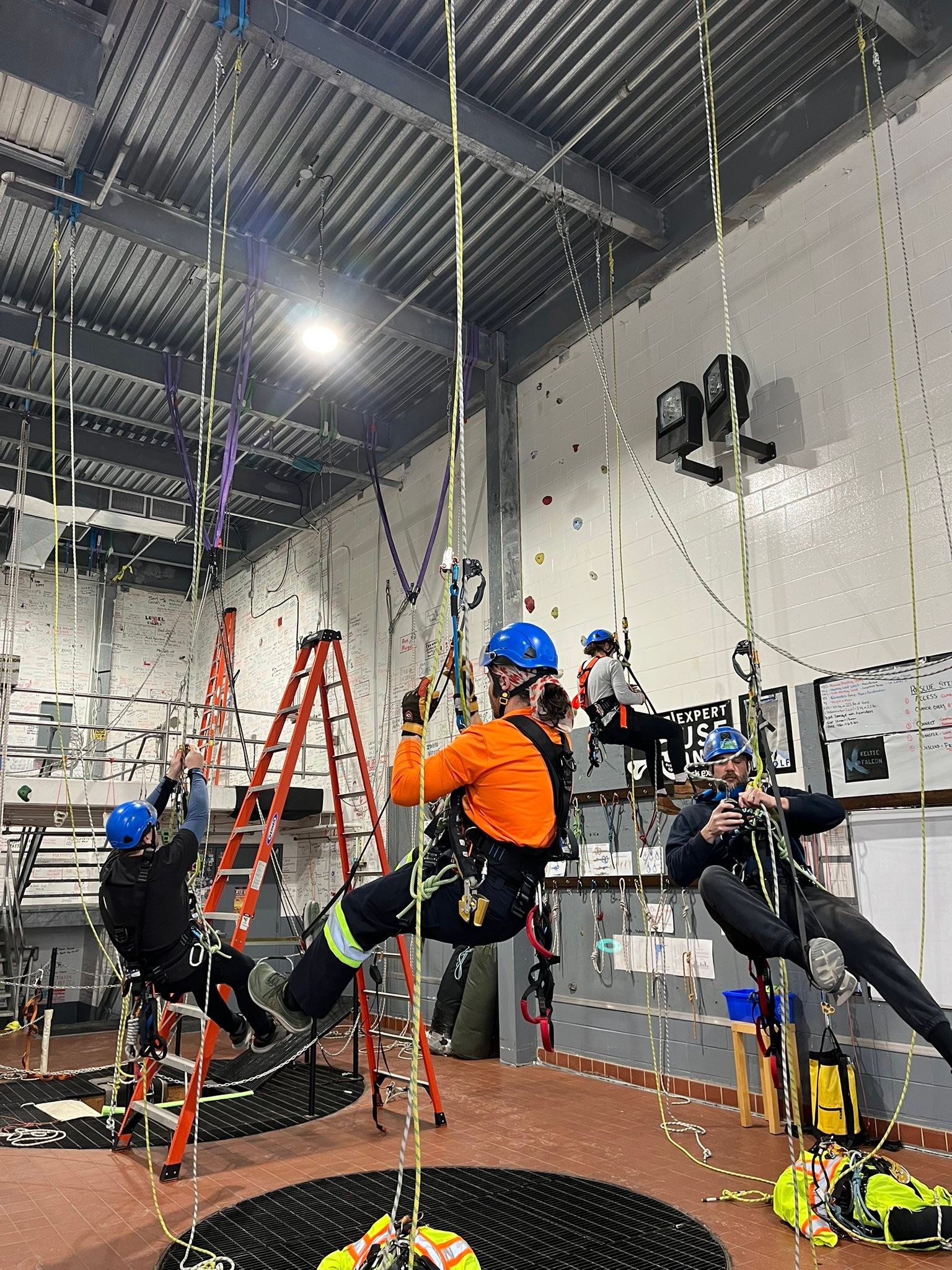 Keltic Falcon Rope... - Keltic Falcon Rope Access Experts