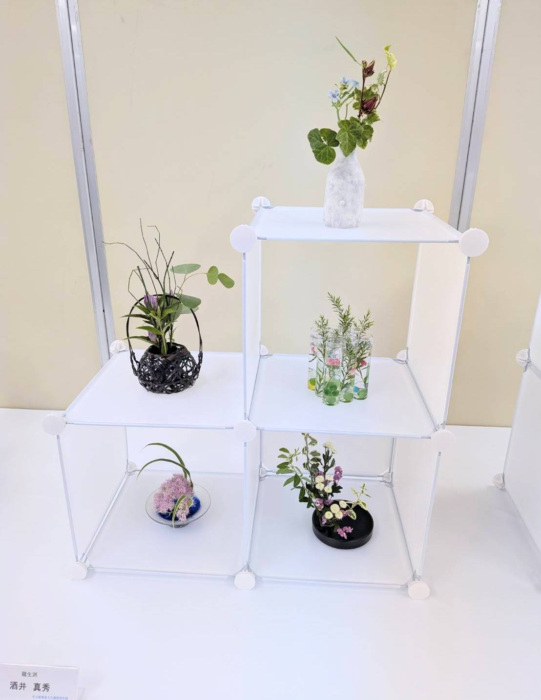 早春いけばな展、前期の龍生派の作品を紹介いたします。 制作=畠 秀華