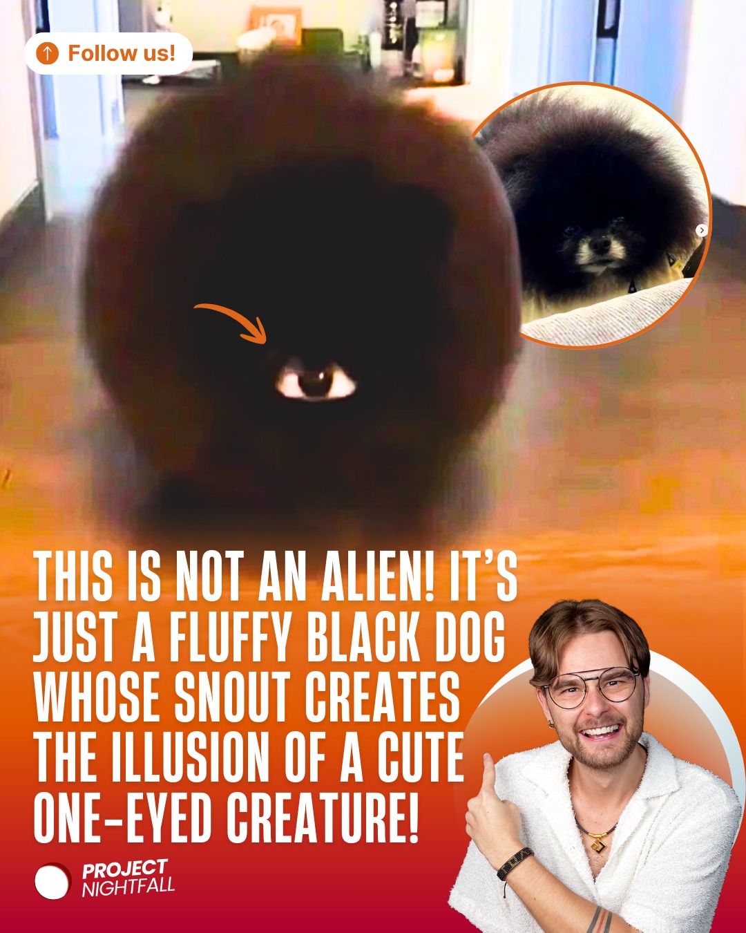 Petition to cast him in the movie... - Project Nightfall | Facebook