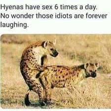 Mikozi - Woyimba wodziwika ndikulalata, Queen Sheba... | Facebook