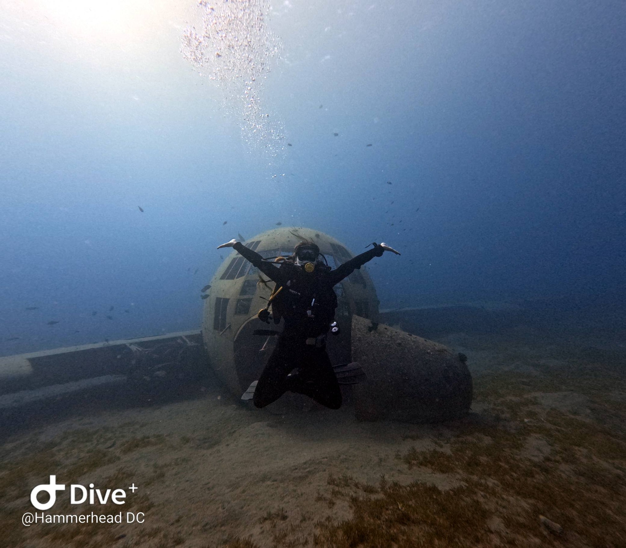 ️ Discover One of Aqaba’s... - Hammerhead Dive Center Aqaba | Facebook
