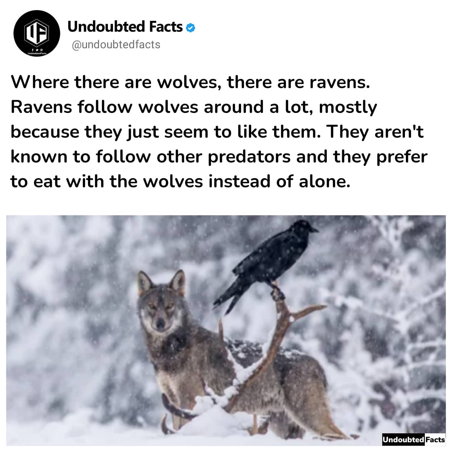 Undoubted Facts