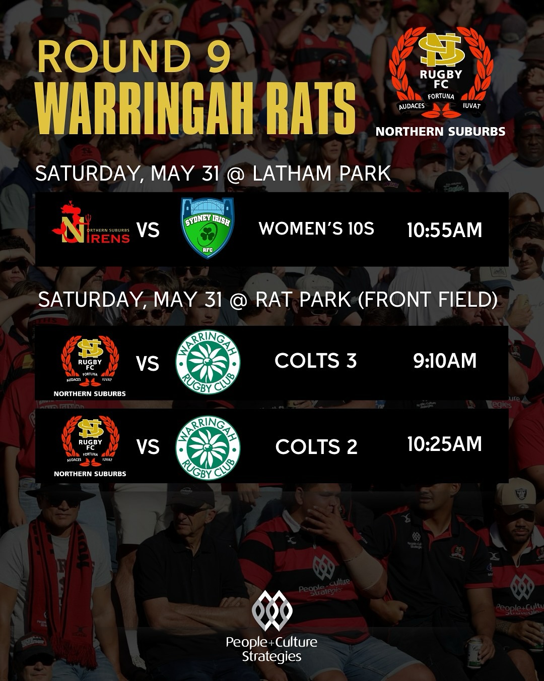 Northern Suburbs... - Northern Suburbs Rugby Football Club