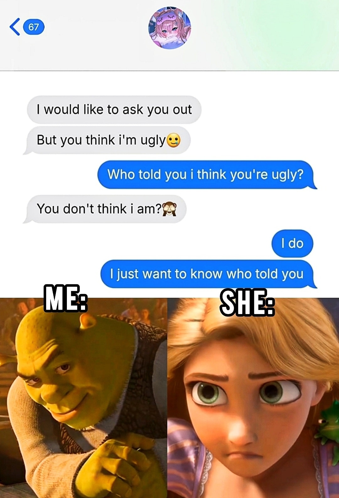 cat-bro-roasted-her-facebook