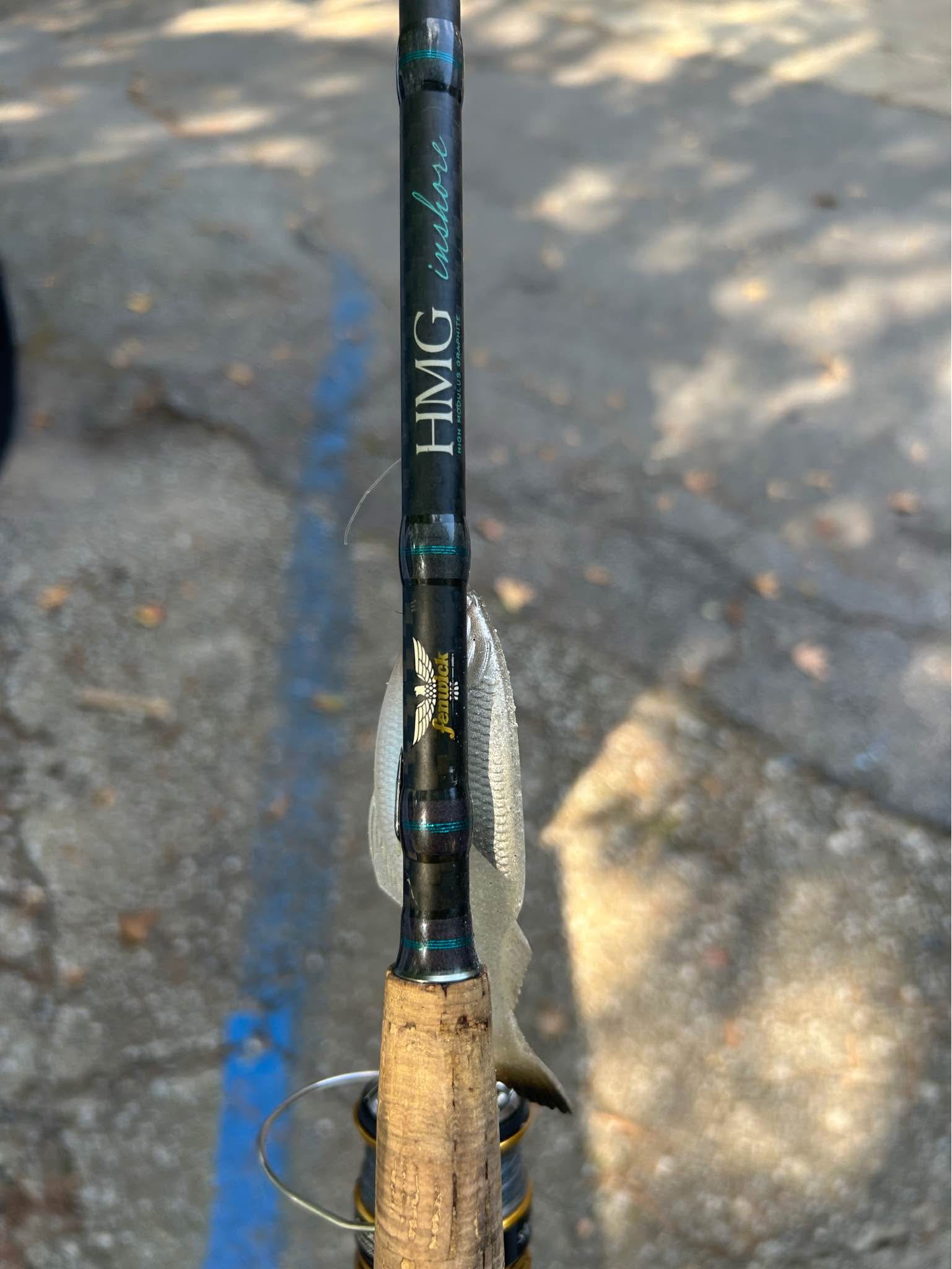 Rods and Reels. BUY. SELL. TRADE. - Fishing Rod & Reel Combos - Powder ...