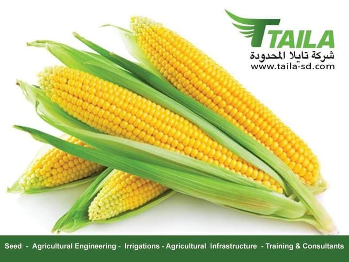 Taila Agriculture تايلا الزراعية Home Facebook