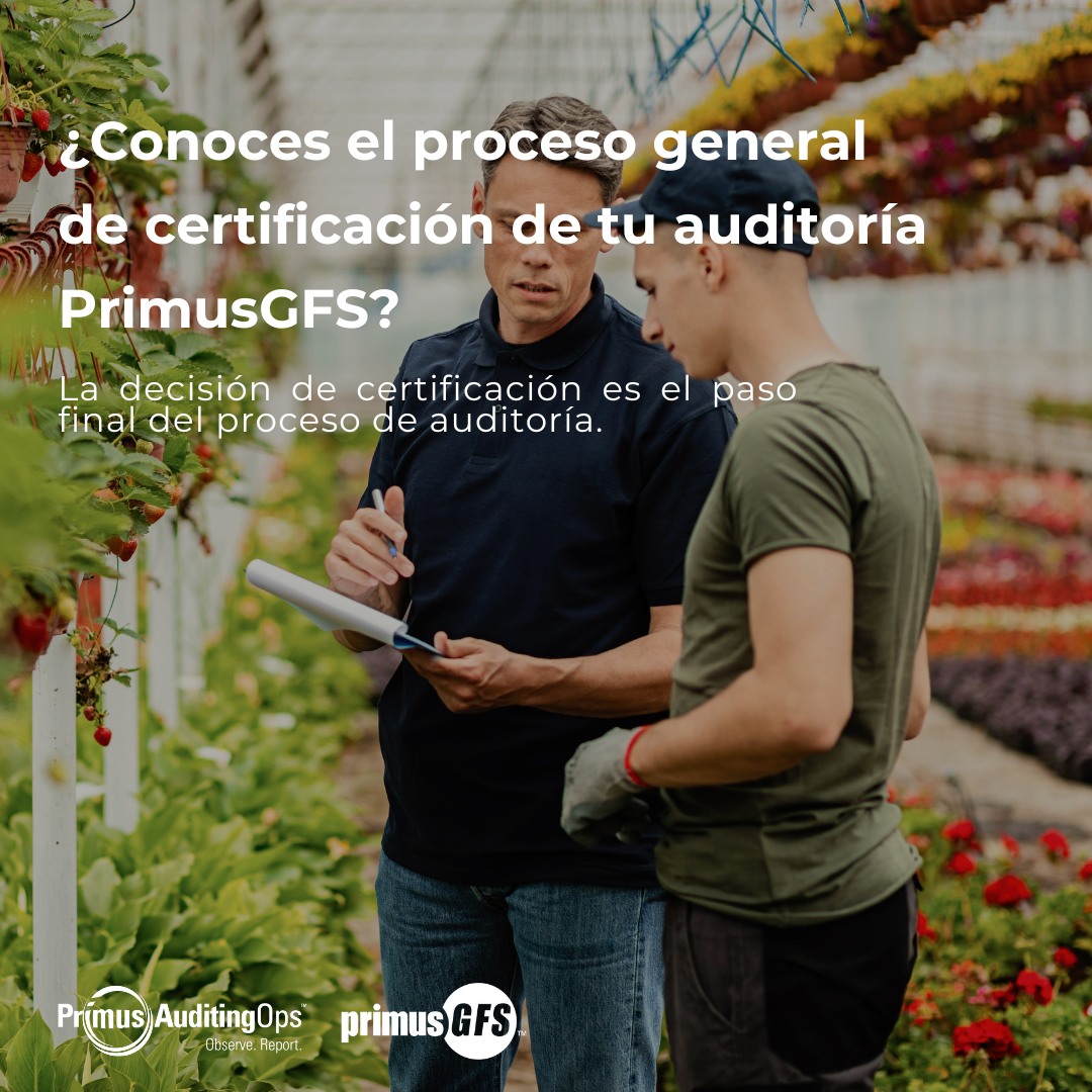 Primus - ¿Conoces el proceso general de certificación de tu auditoría ...