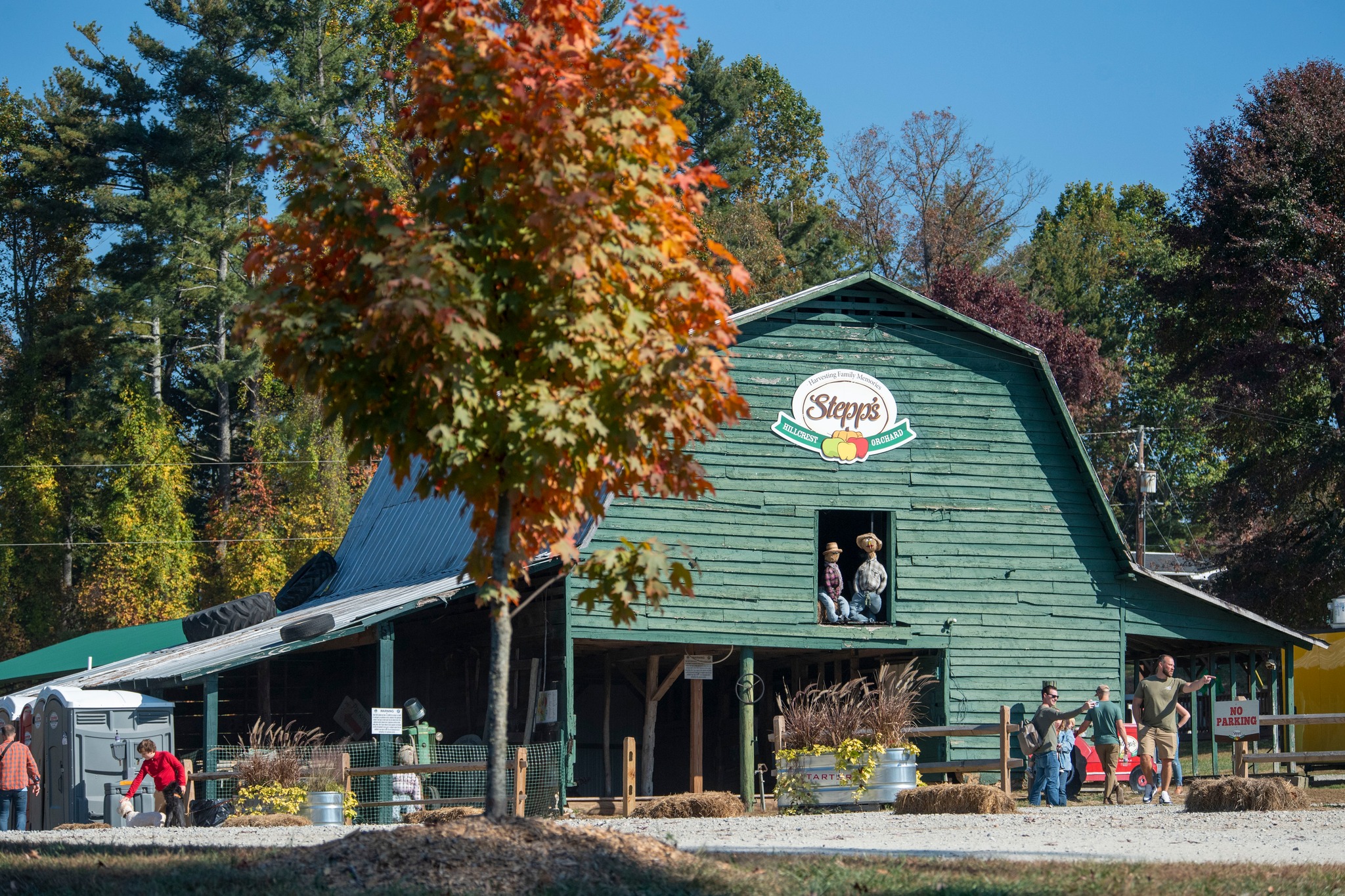 Stepp's Hillcrest Orchard | Hendersonville NC