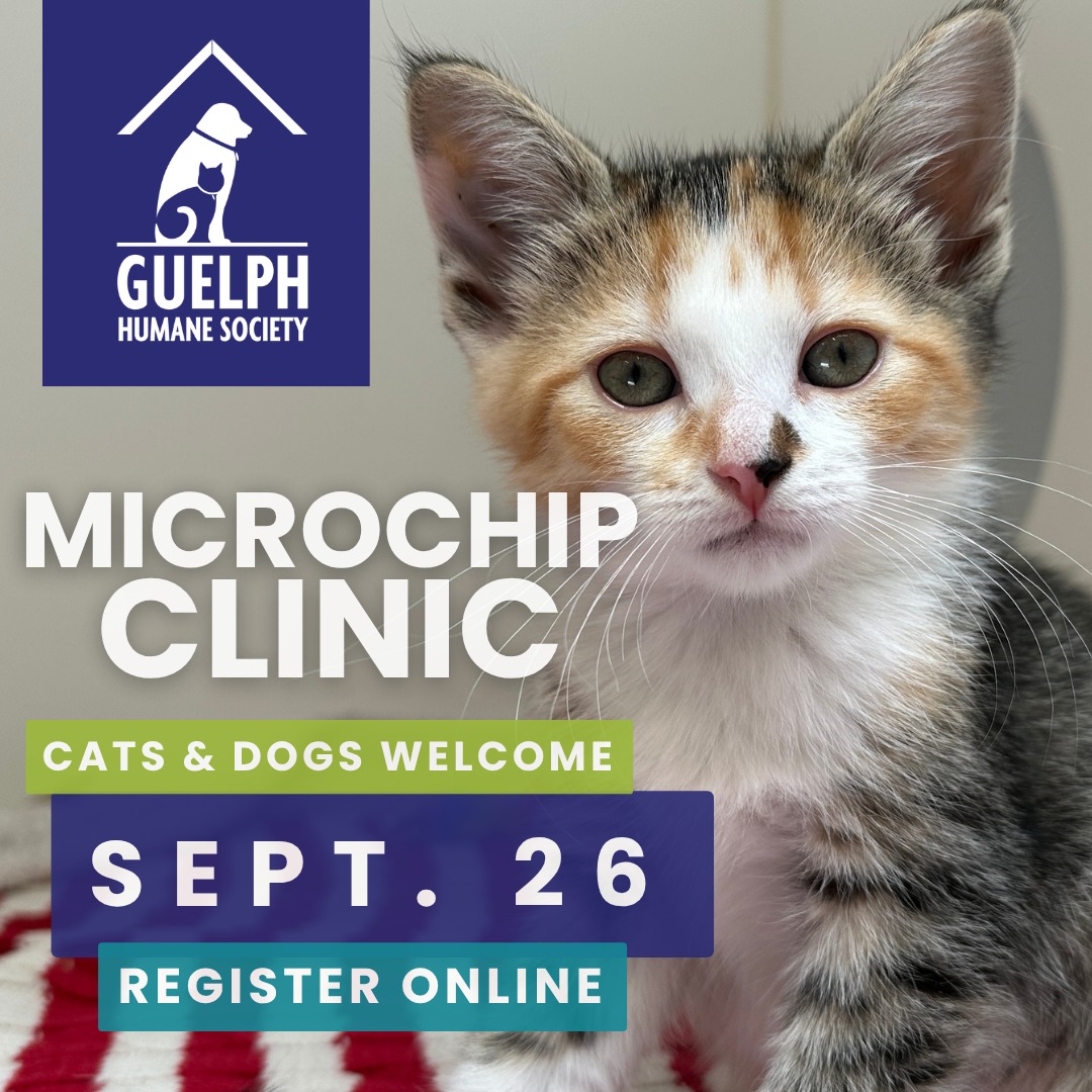 Protect your pet by booking a microchip appointment at the Guelph
