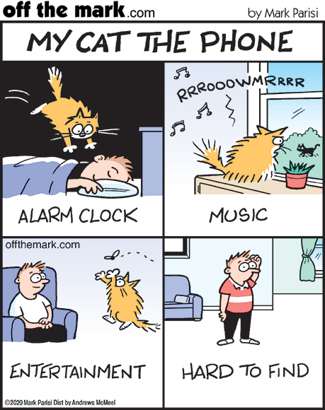 off-happy-national-cat-day-save-a-gargantuan-30-on-the-off-the
