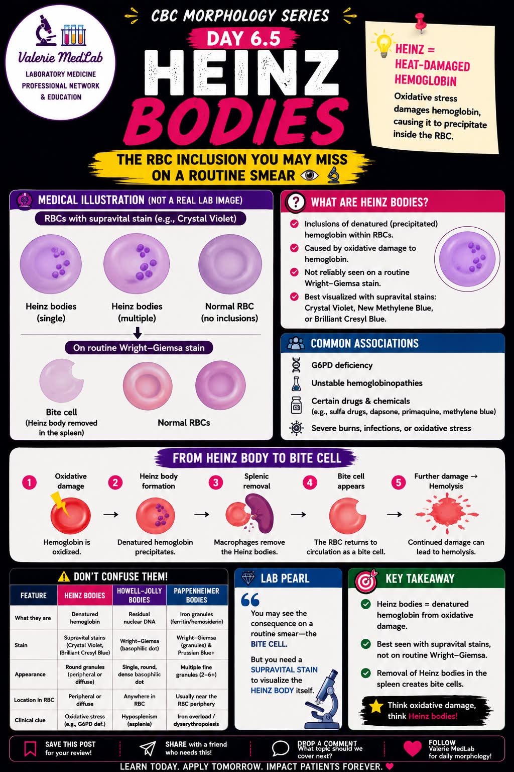 onions can cause heinz bodies reduced glutathione in red blood cells from oxidative damage Cagrilintide Peptide 5-10mg for MANEE Gluta Collagen:PINK GLUTA Whitening Soap For Women