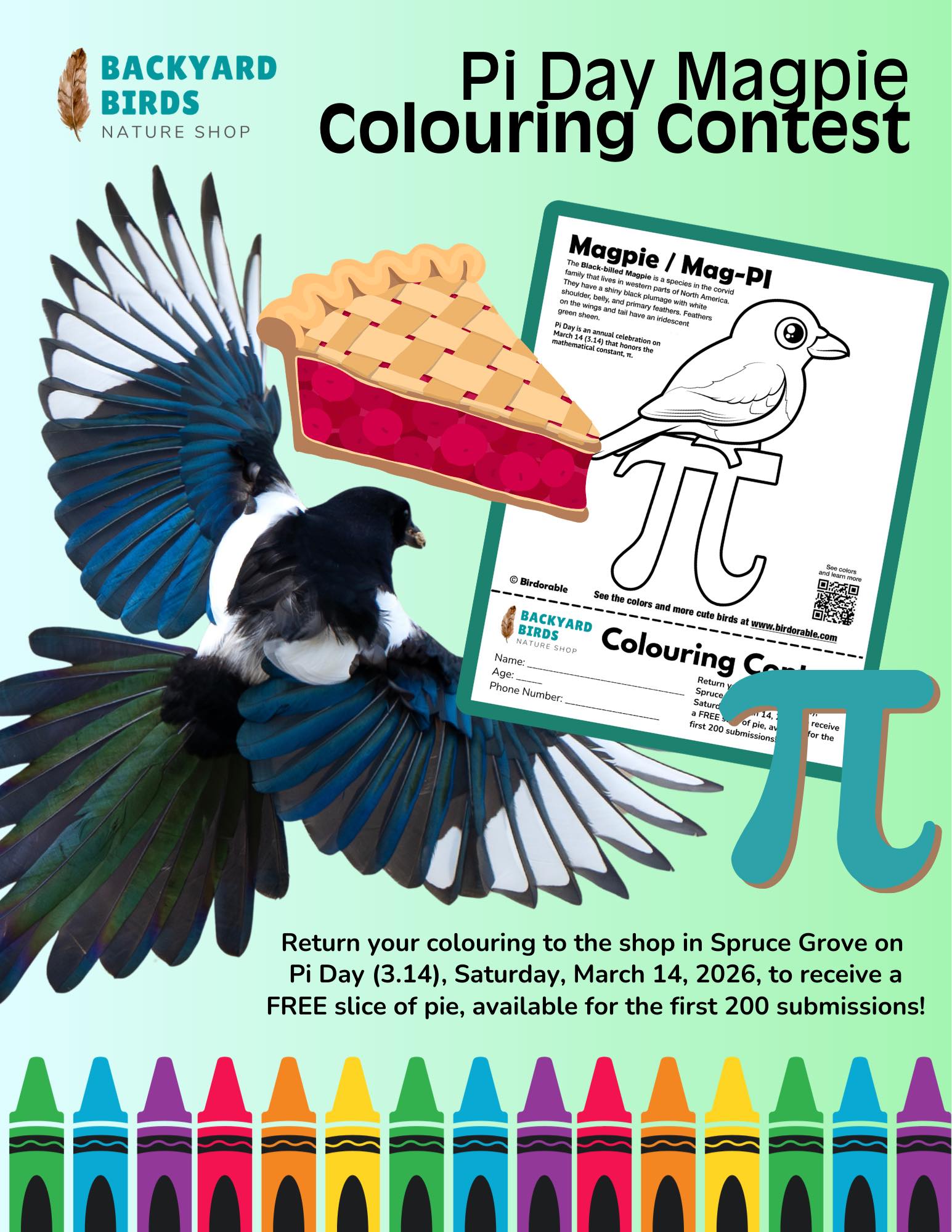 Backyard - What do birds, baked goods, and math have in common? Nope ...