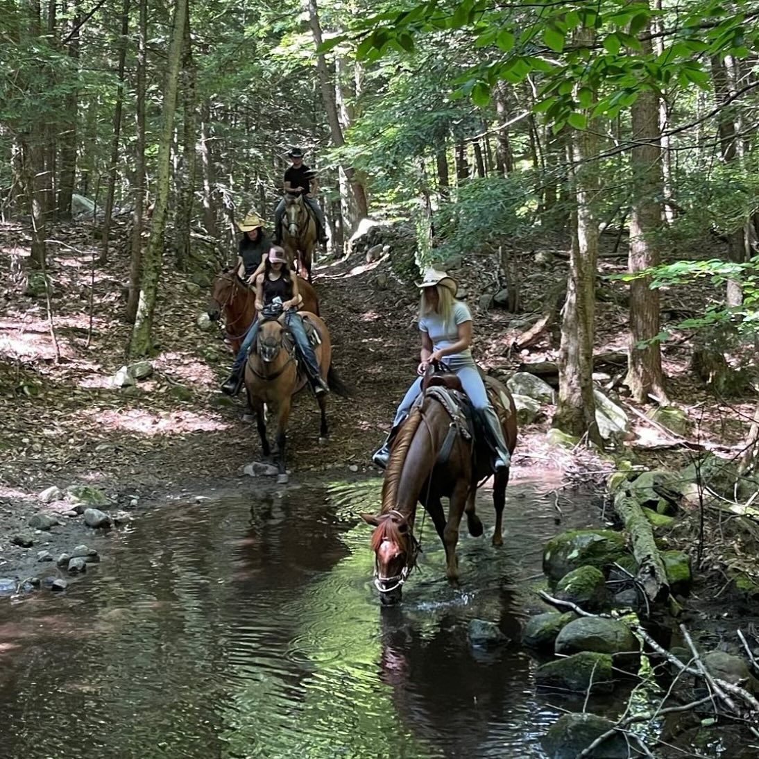 Mountain View Rocking B Ranch | Lake Luzerne NY