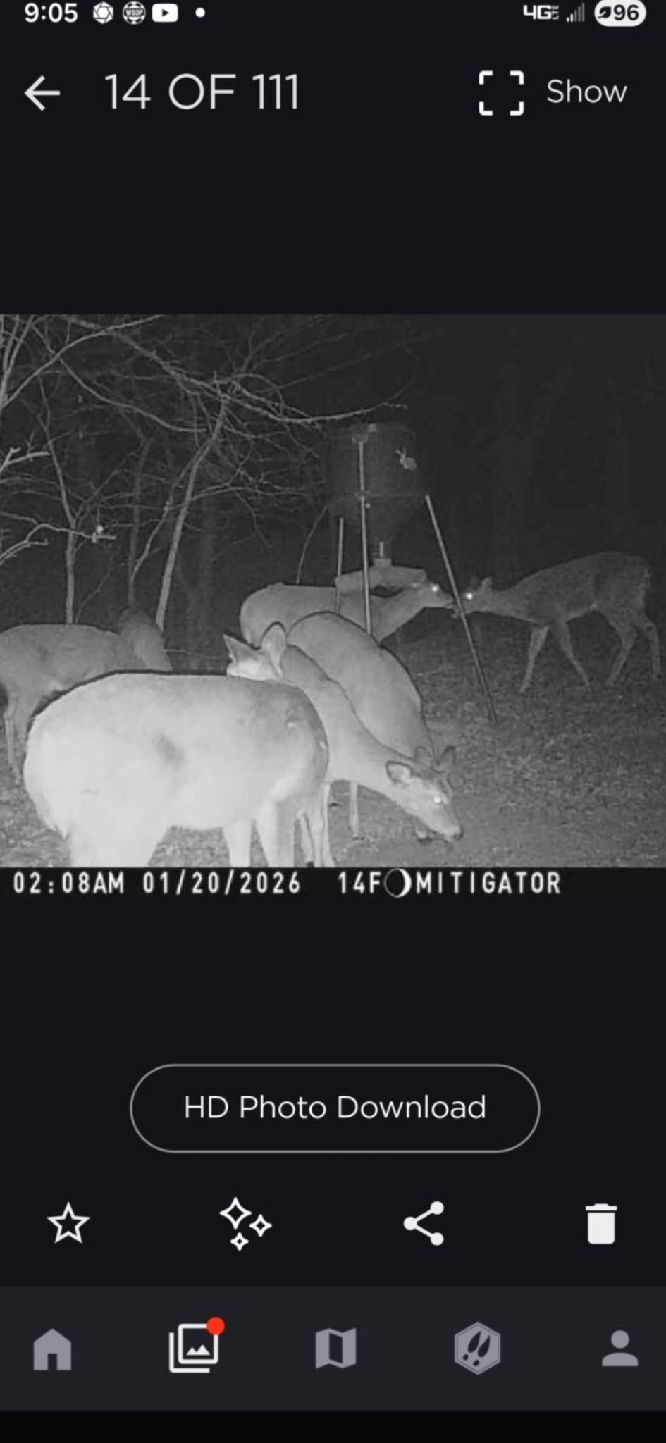 Tyler Gisvold - Why are we on to the deer ration and... | Facebook