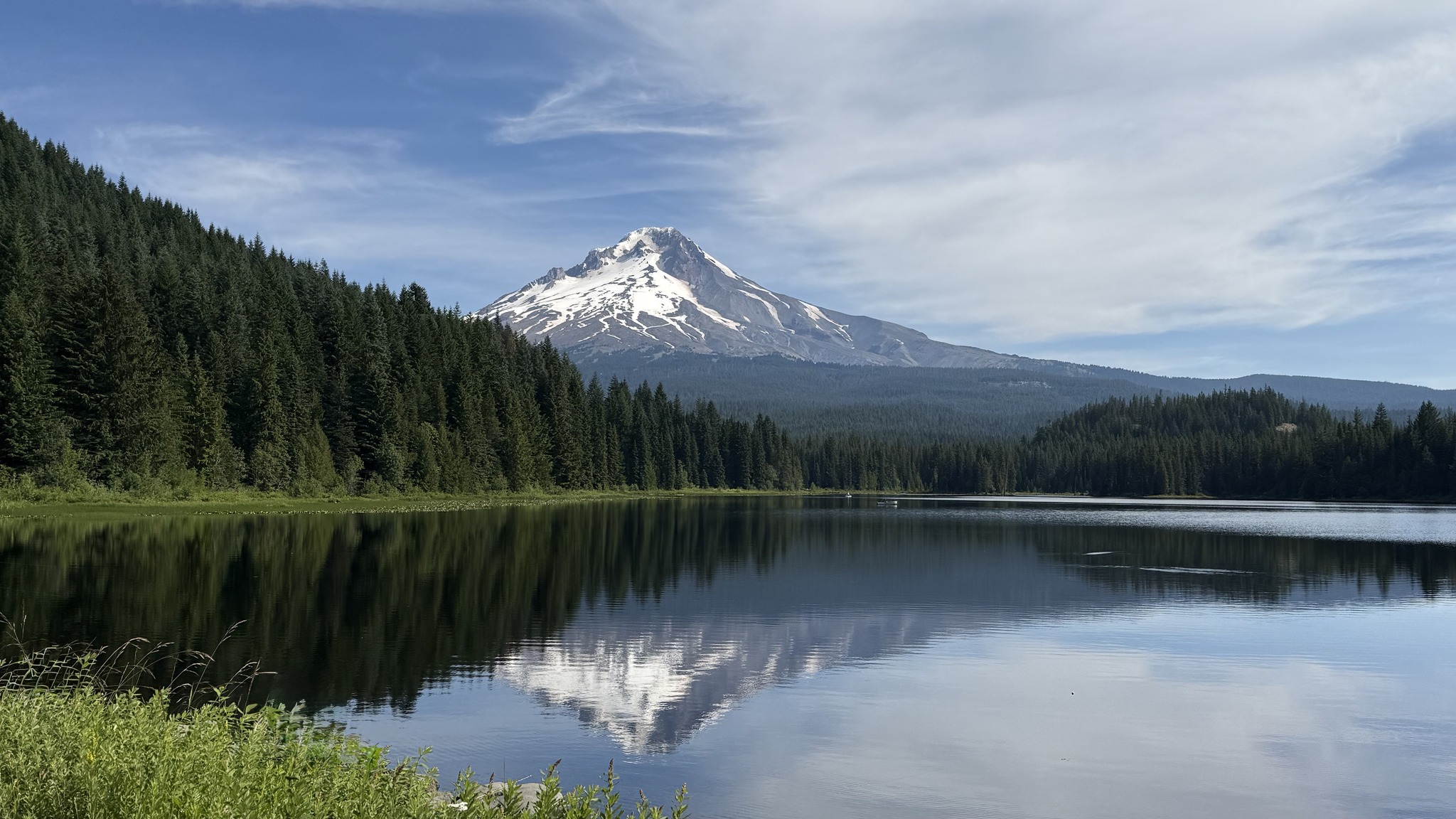 FOX 12 Oregon
