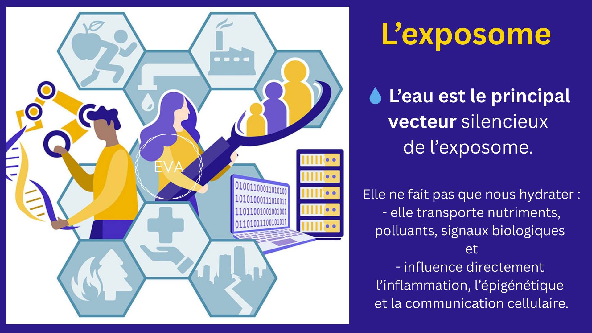 Psychologie - 🧬 Science de l’exposome : comment ton environnement ...