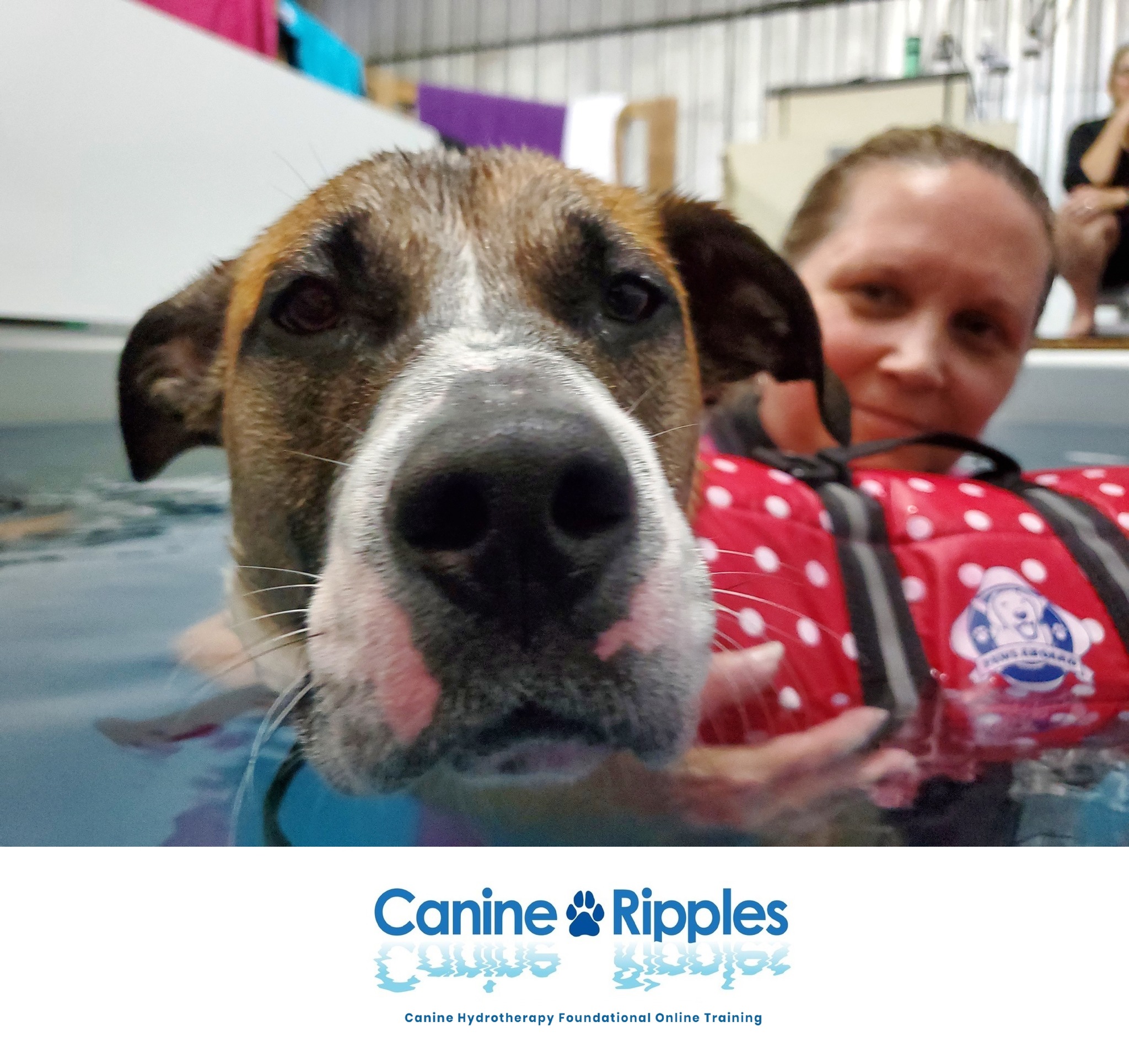 Canine Ripples - Our course reflects the accumulation of... | Facebook