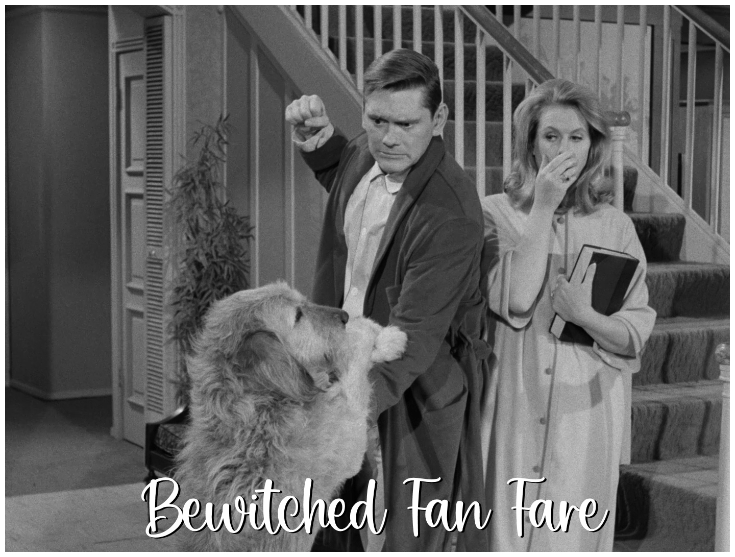 Bewitched - MAN'S BEST FRIEND Samantha is visited by a ghost from her ...