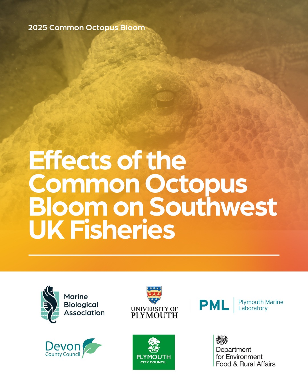 The science behind a... - Marine Biological Association | Facebook
