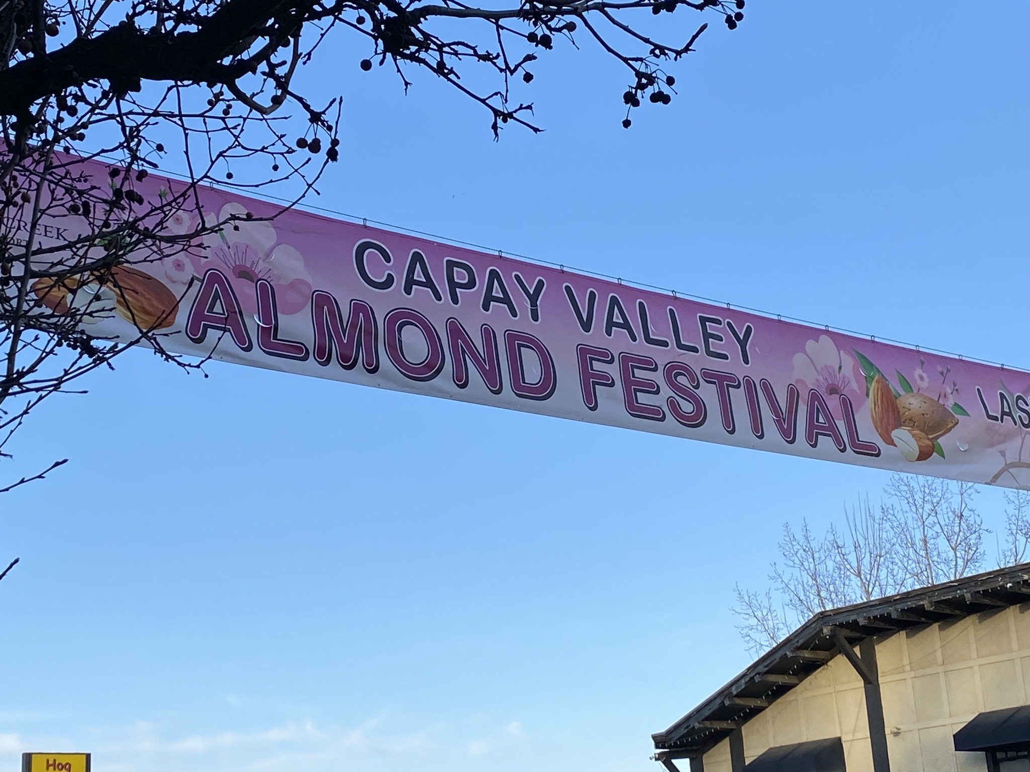 Capay Almond Festival Planning Meeting