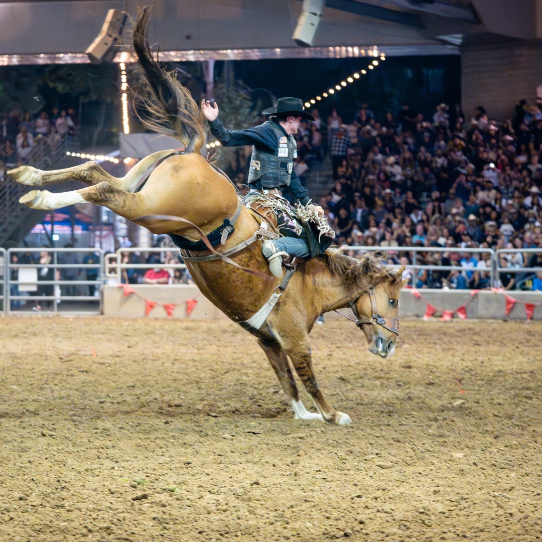 Industry - From rodeos to all types of live entertainment, the Grand ...